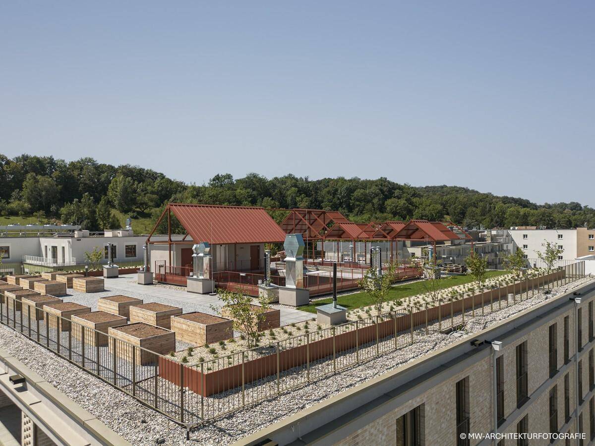 Dachterrasse