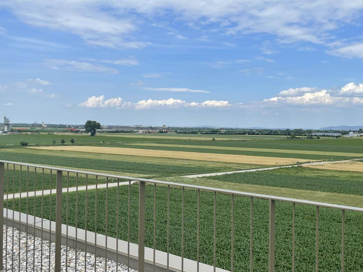 Ausblick