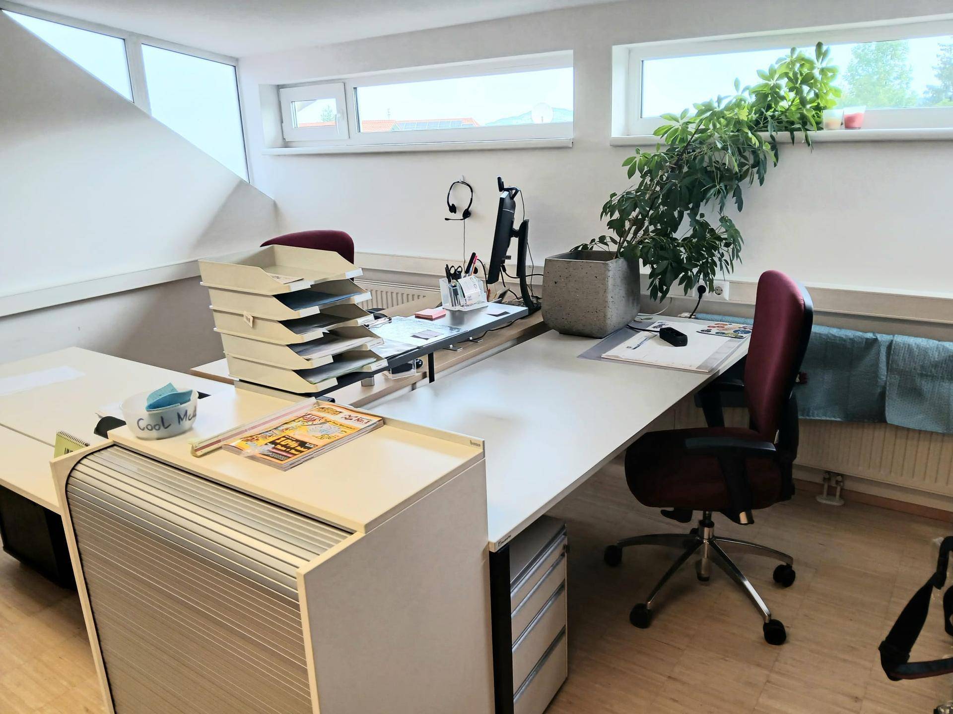 Nahaufnahme eines Büroschreibtisches mit Computer, Pflanzen und Büromaterialien, beleuchtet durch Fenster.