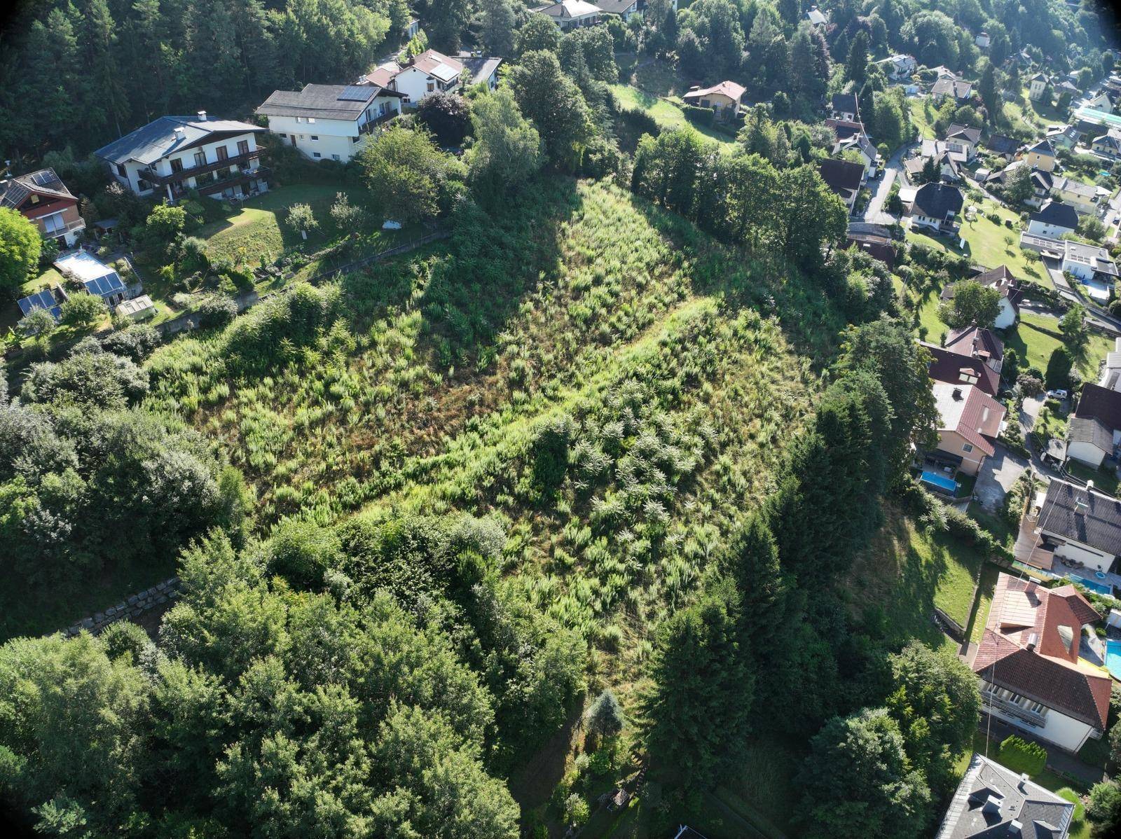 Weitläufige Luftaufnahme eines unbebauten Grundstücks mit dichter Vegetation und angrenzenden Wohnhäusern.