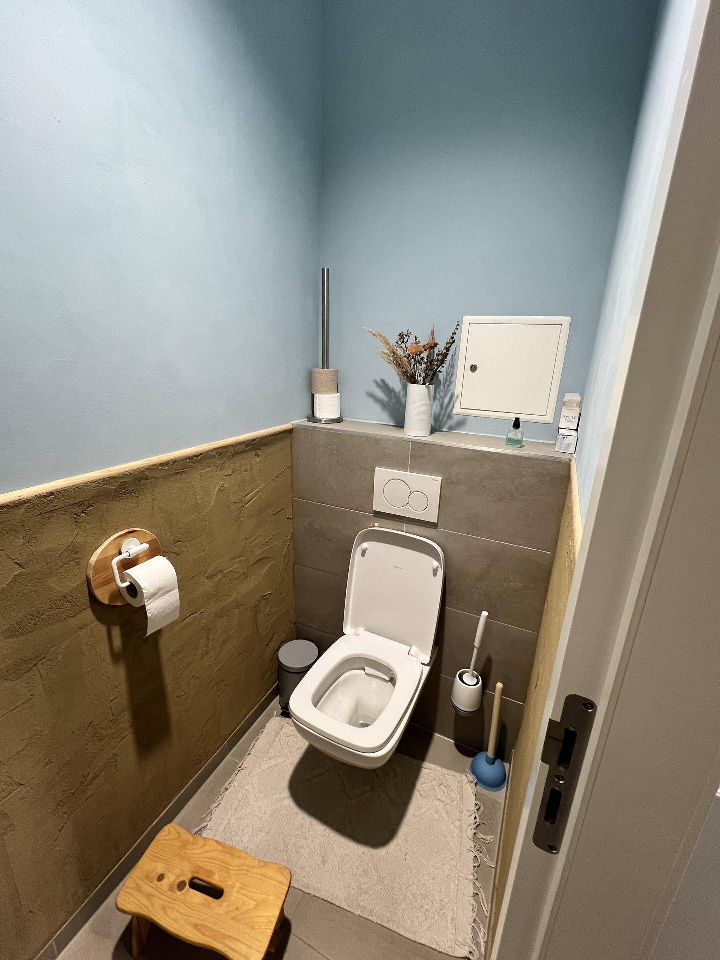 Kompakte Gästetoilette mit Wand-WC, hellblauen Wänden und strukturiertem Putz im unteren Bereich.