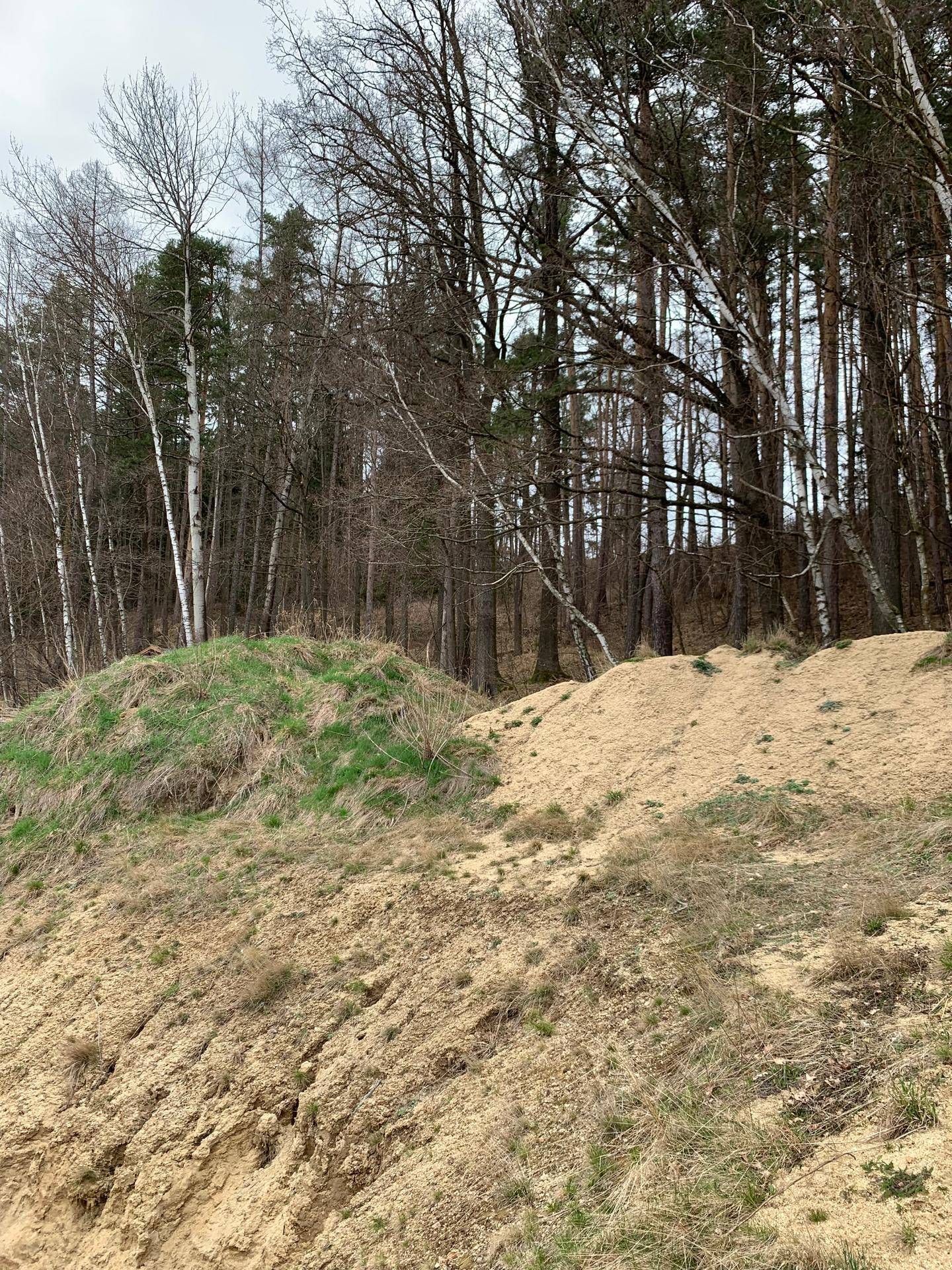 Slide 5
