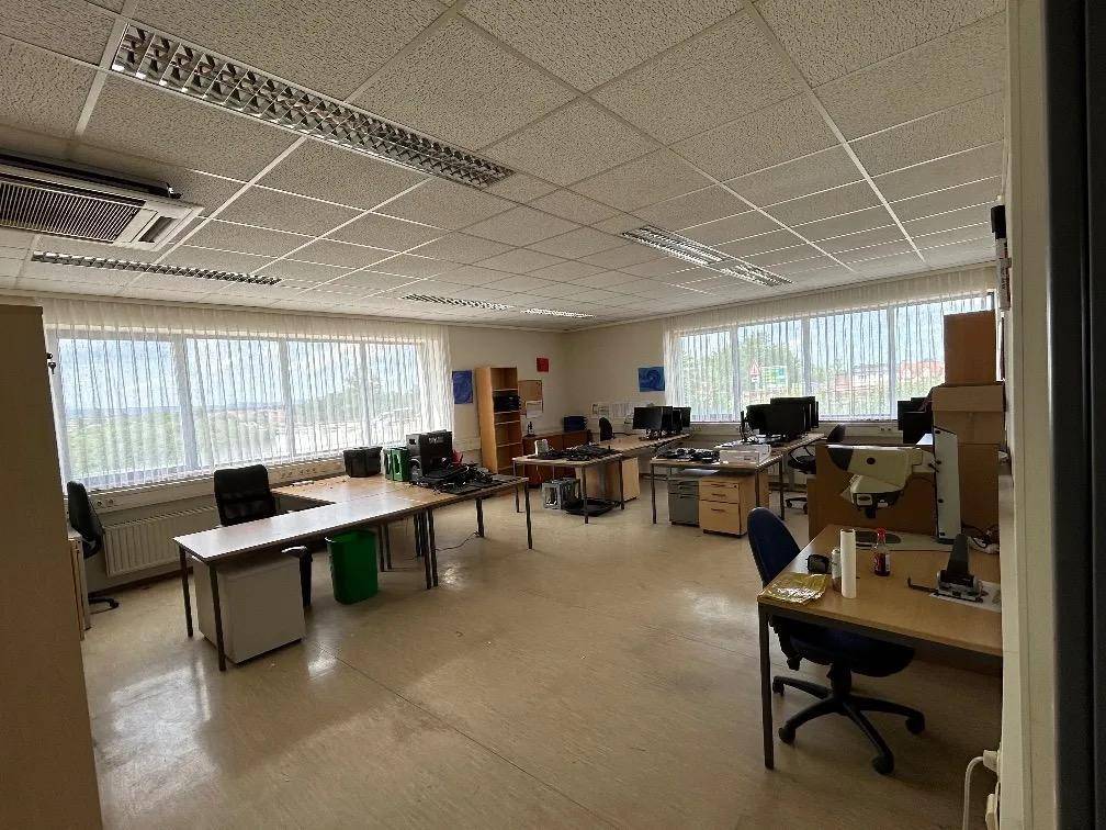Großraumbüro mit vielen Arbeitsplätzen, Computern und großen Fenstern.