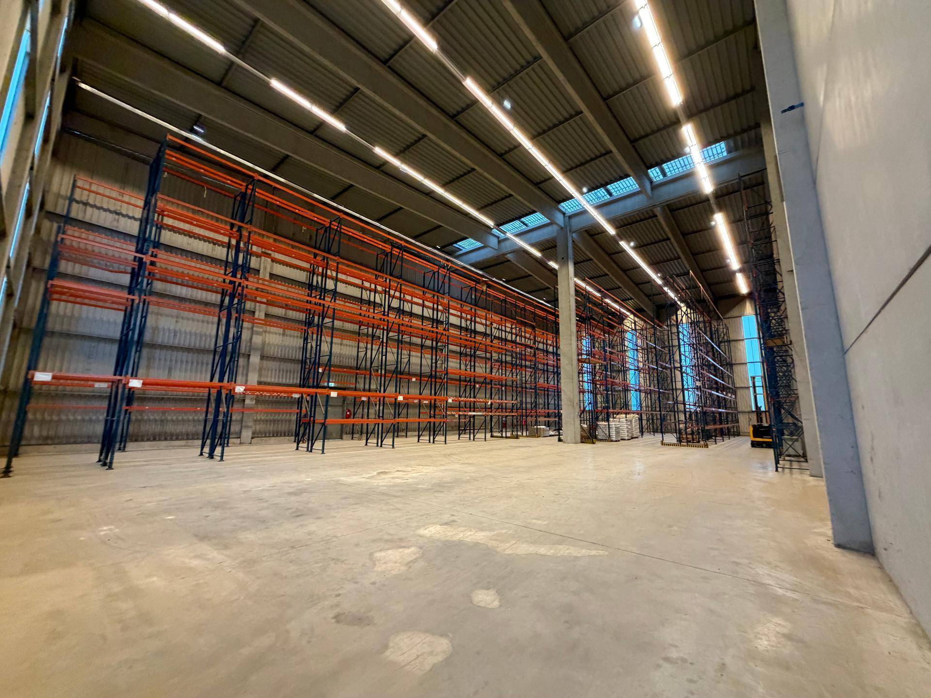 Weitläufige Lagerhalle mit hohen Regalsystemen, Betonboden und Oberlichtern für natürliche Beleuchtung.