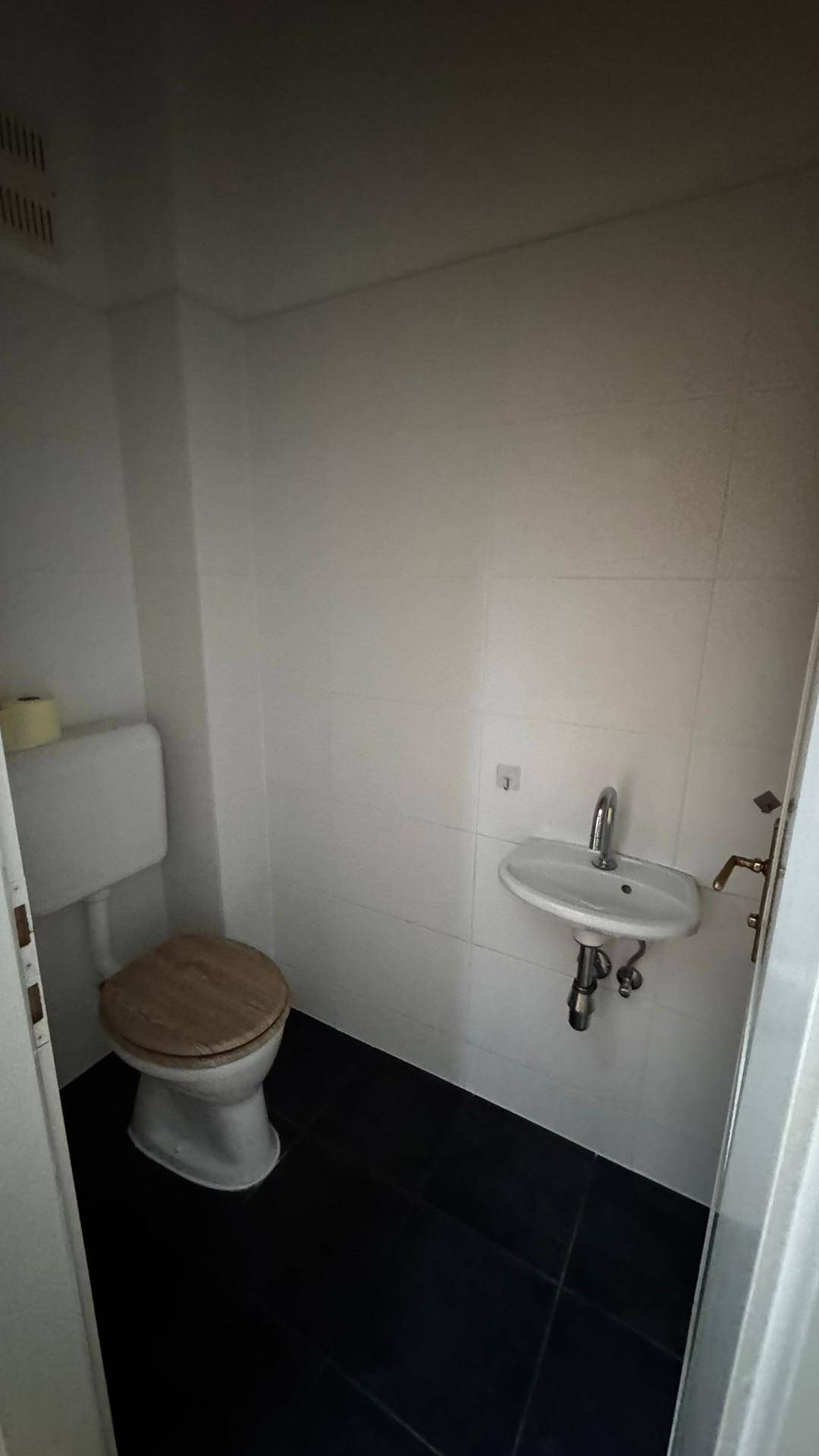 Kleines Gäste-WC mit Toilette, Holz-Toilettensitz und einem kompakten Waschbecken.