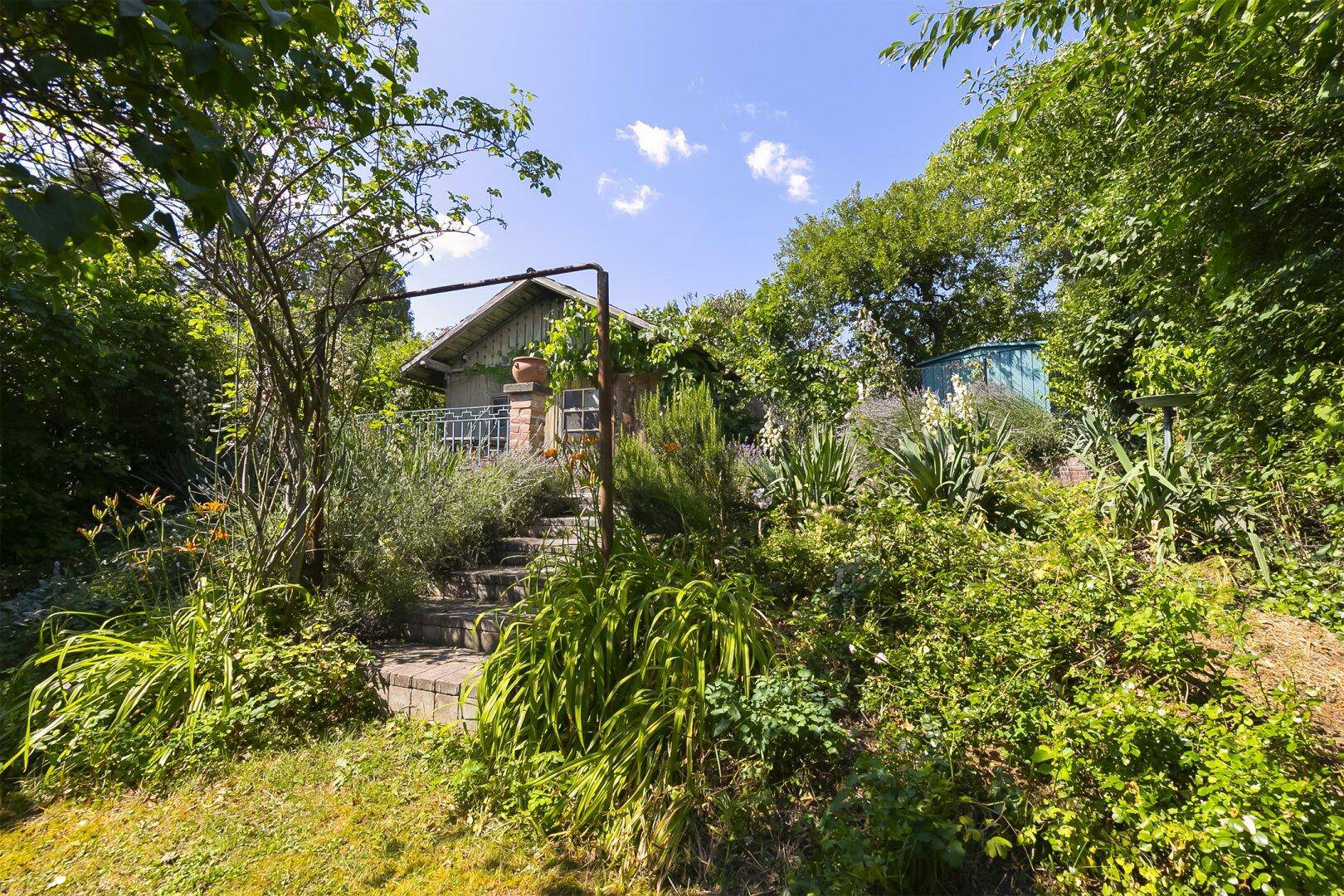 Natürlicher Garten mit Treppen, üppiger Vegetation und einem kleinen Haus im Hintergrund.