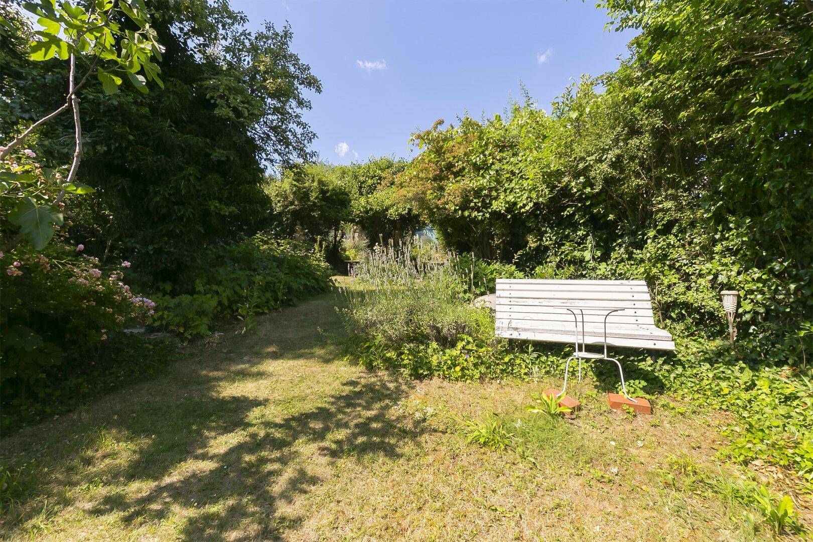 Weiter Gartenbereich mit Rasen, alter Holzbank und dichter, grüner Bepflanzung.