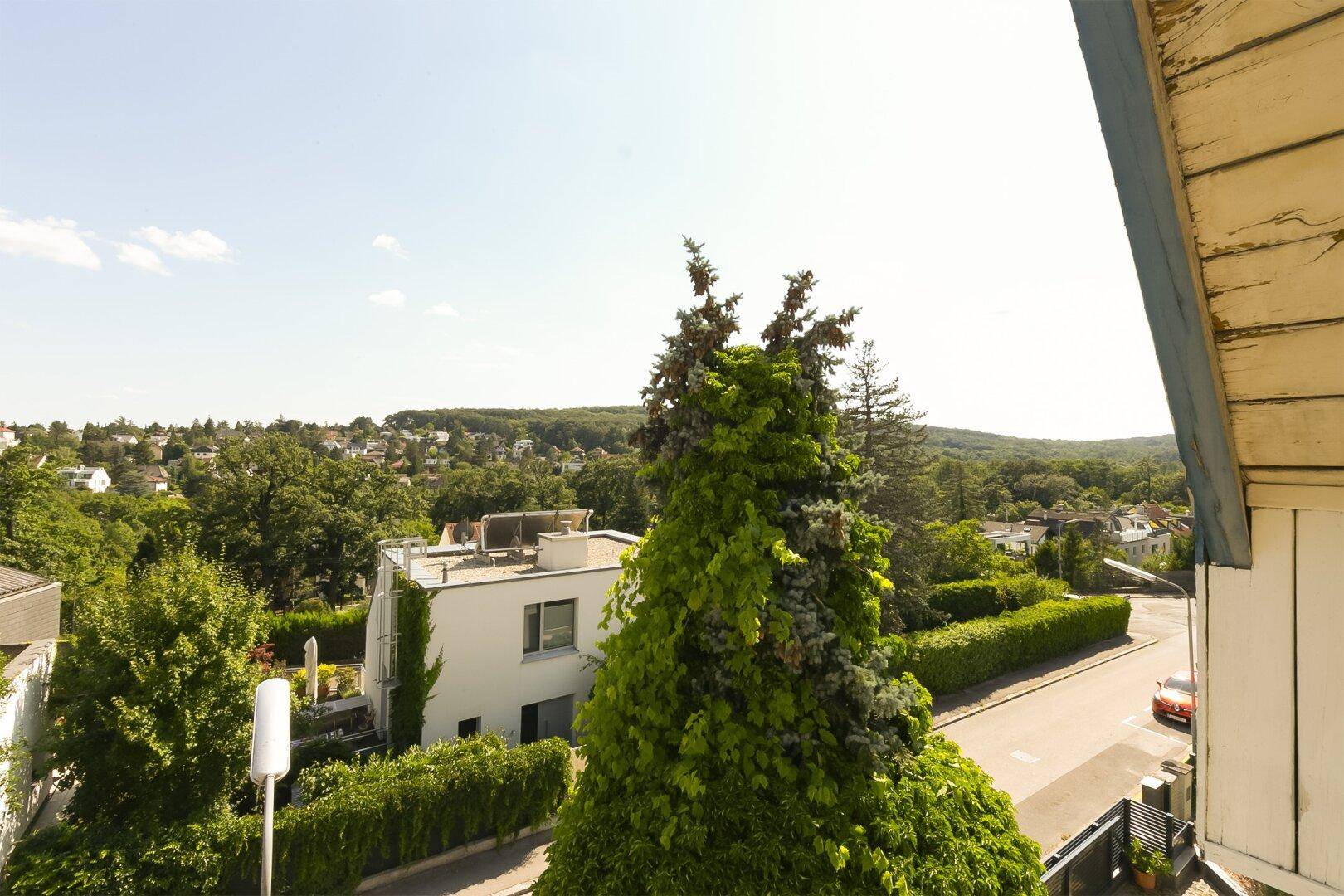 Weitläufiger Blick über die grüne Umgebung mit Häusern und Bäumen an einem sonnigen Tag.