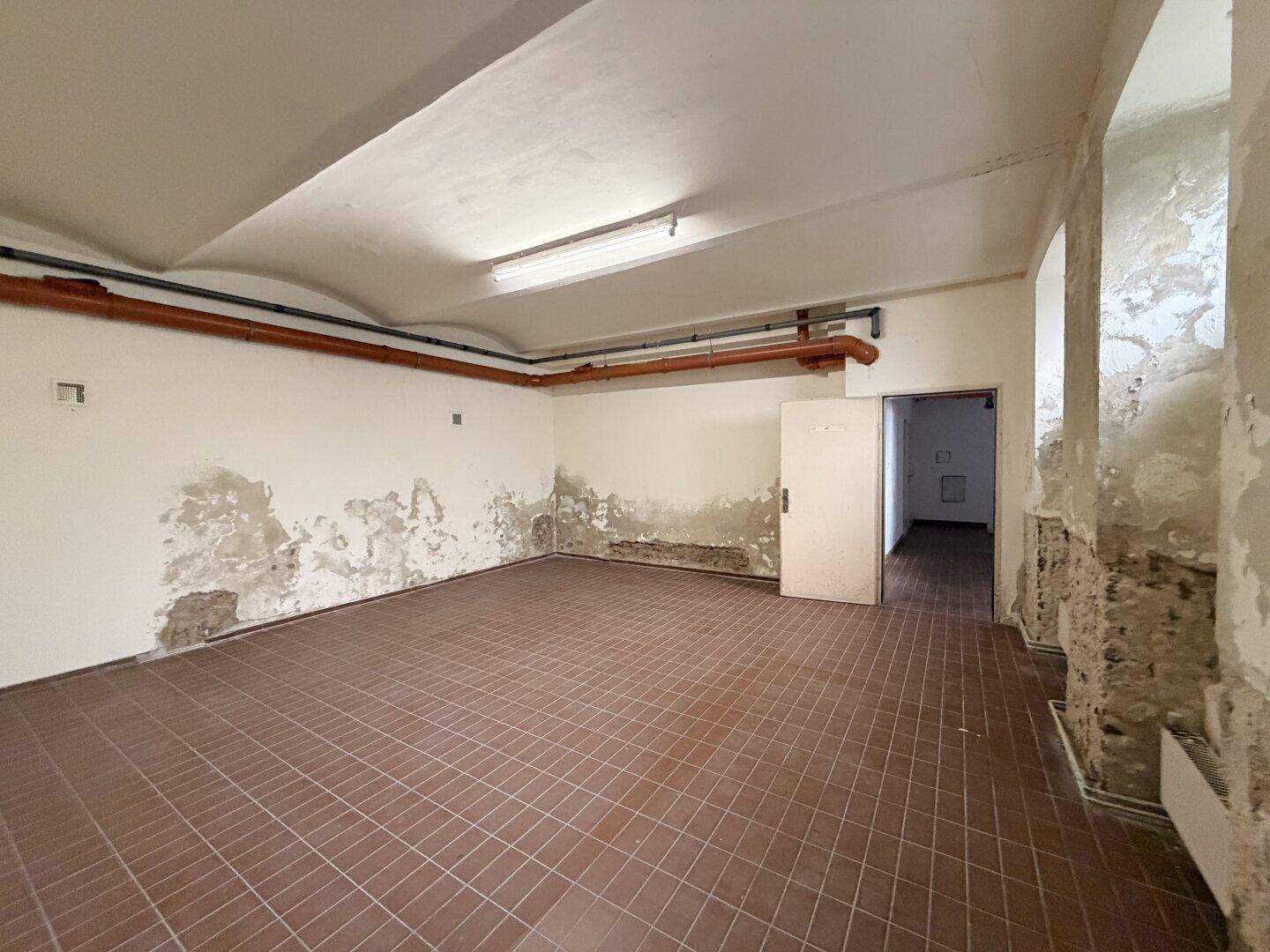 Greinergasse - 30,00 m² Lager im Souterrain zu vermieten - Vista 2