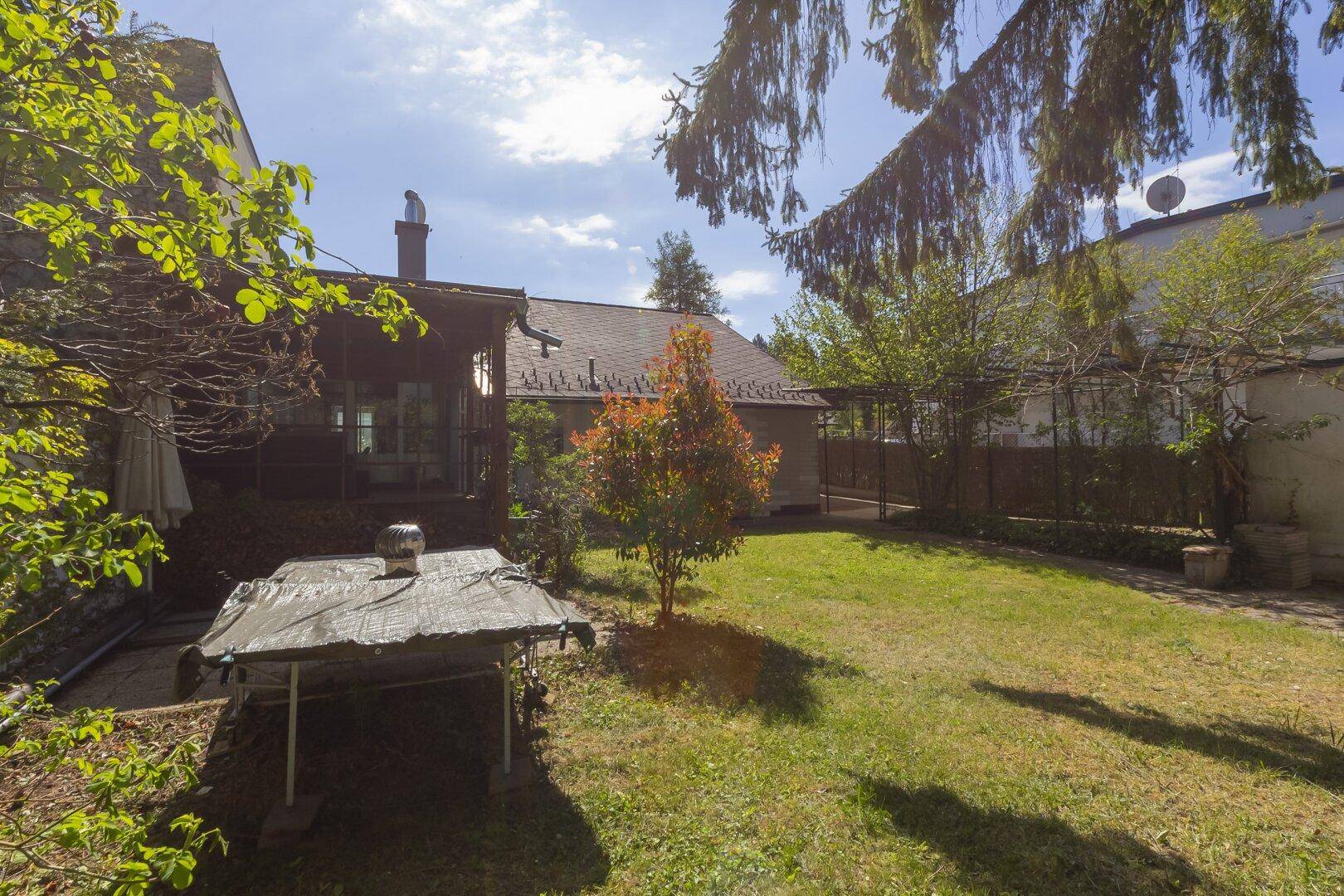 Sonnige Rasenfläche im Garten mit Bäumen und Blick auf das Haus.