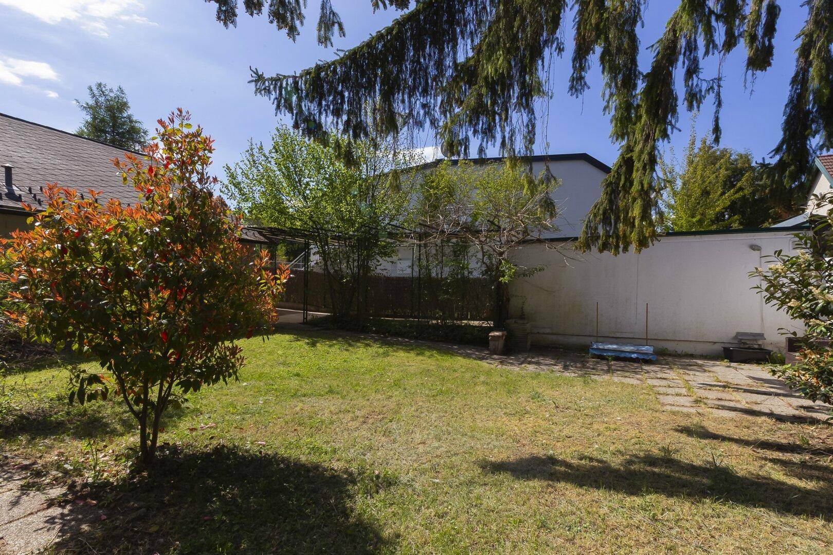 Gepflegter Garten mit Rasen, jungem Baum und umzäuntem Bereich.