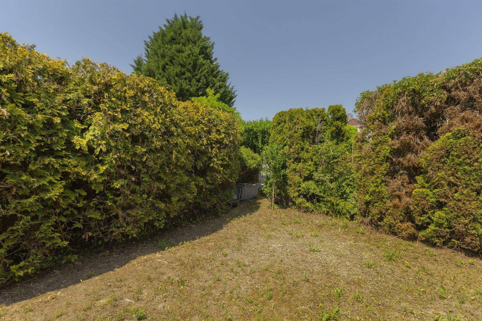 Wiener Straße - gepflegtes Reihenhaus mit Garten und Garagenbox - Ansicht 4