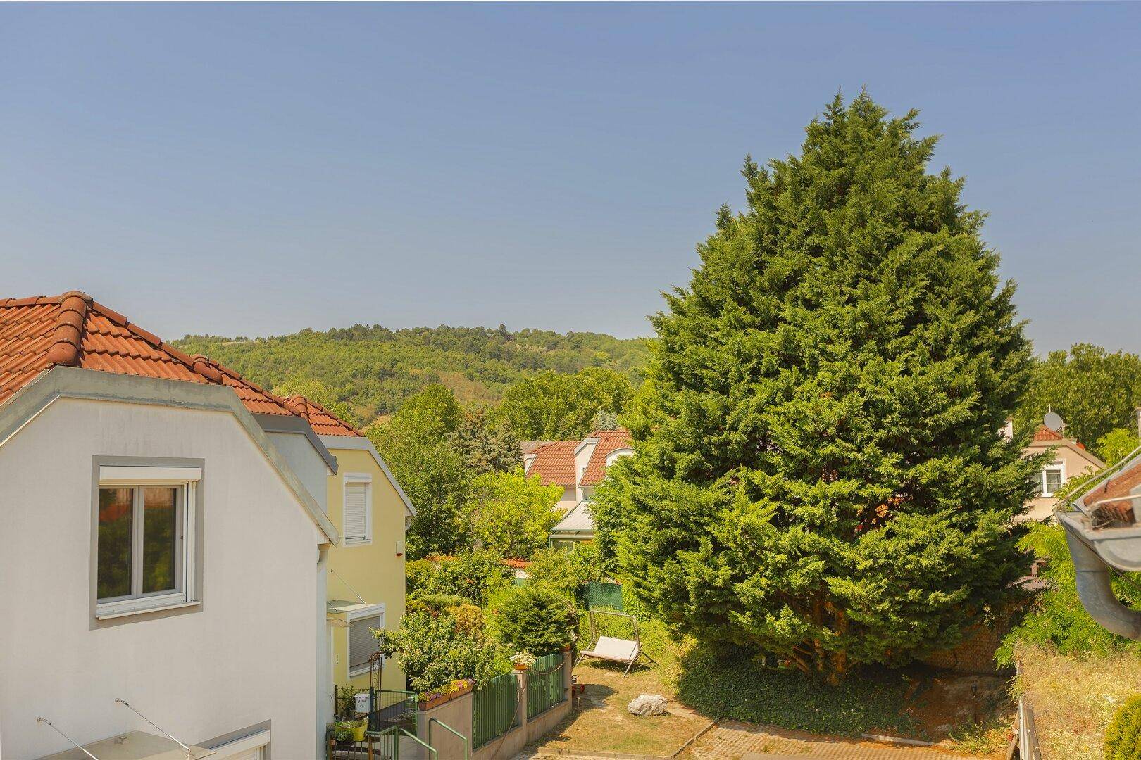 Weitläufiger Blick über die Nachbarschaft mit viel Grün und bewaldeten Hügeln im Hintergrund.