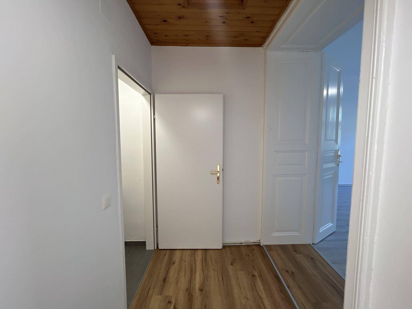 Flur mit Holzlaminatboden und einer Holzdielendecke, der zu weiteren Zimmern führt.