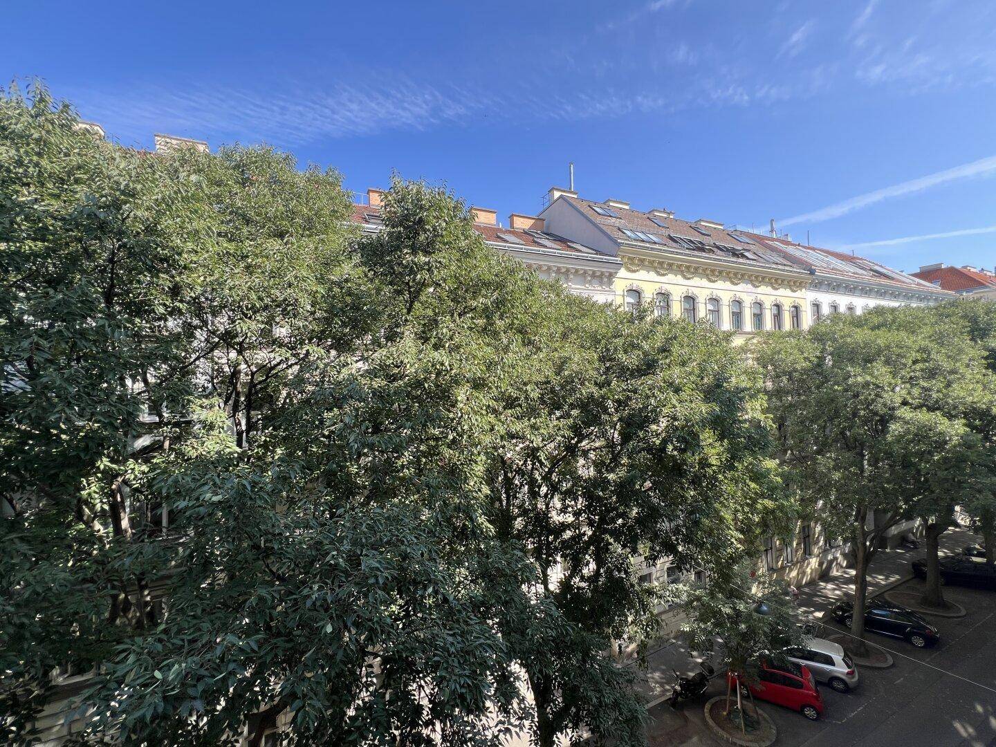 Blick auf die umliegenden Gebäude und Bäume an einem sonnigen Tag.