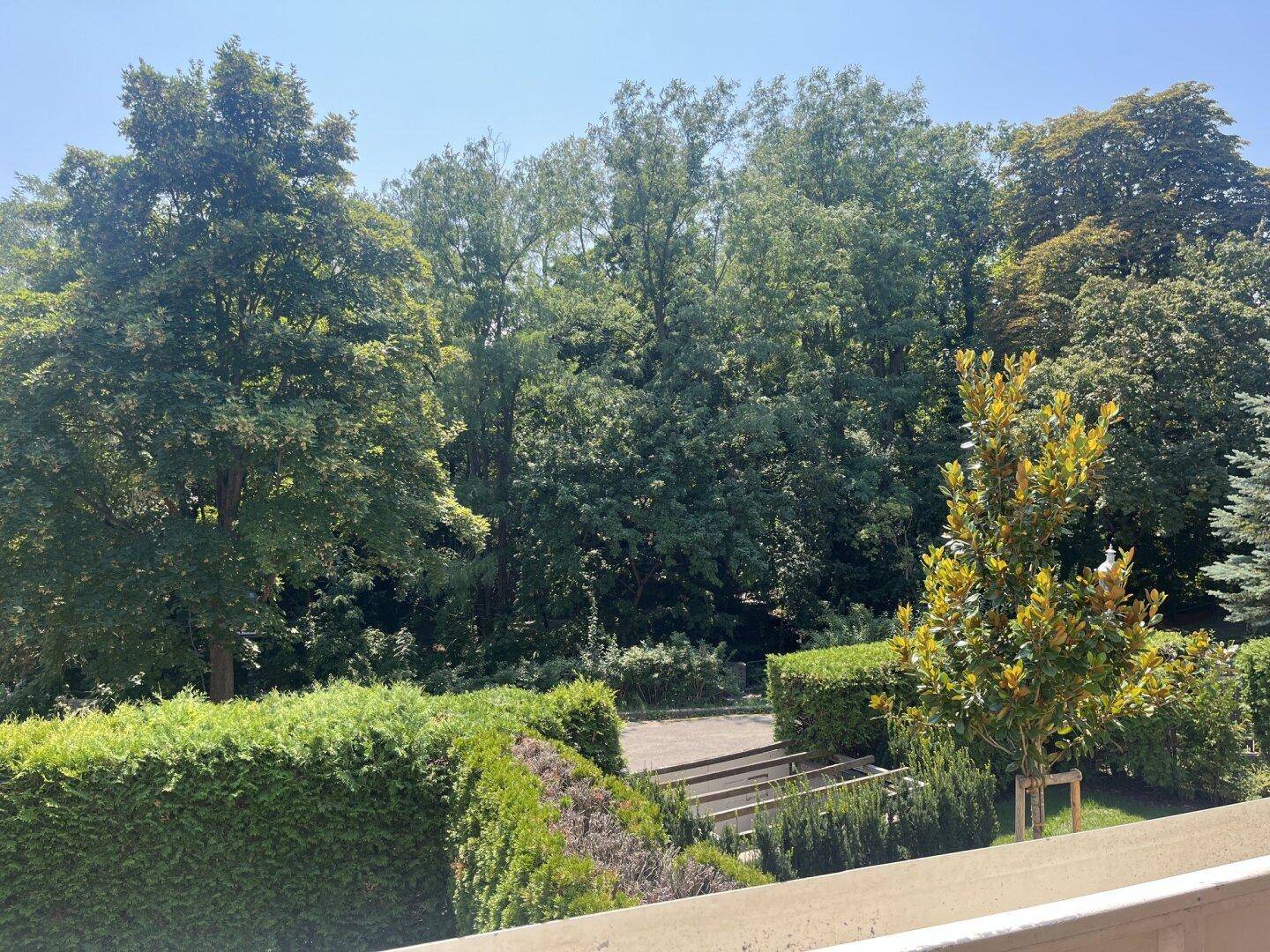 Weitläufiger Blick ins Grüne mit gepflegten Hecken und Bäumen unter blauem Himmel.