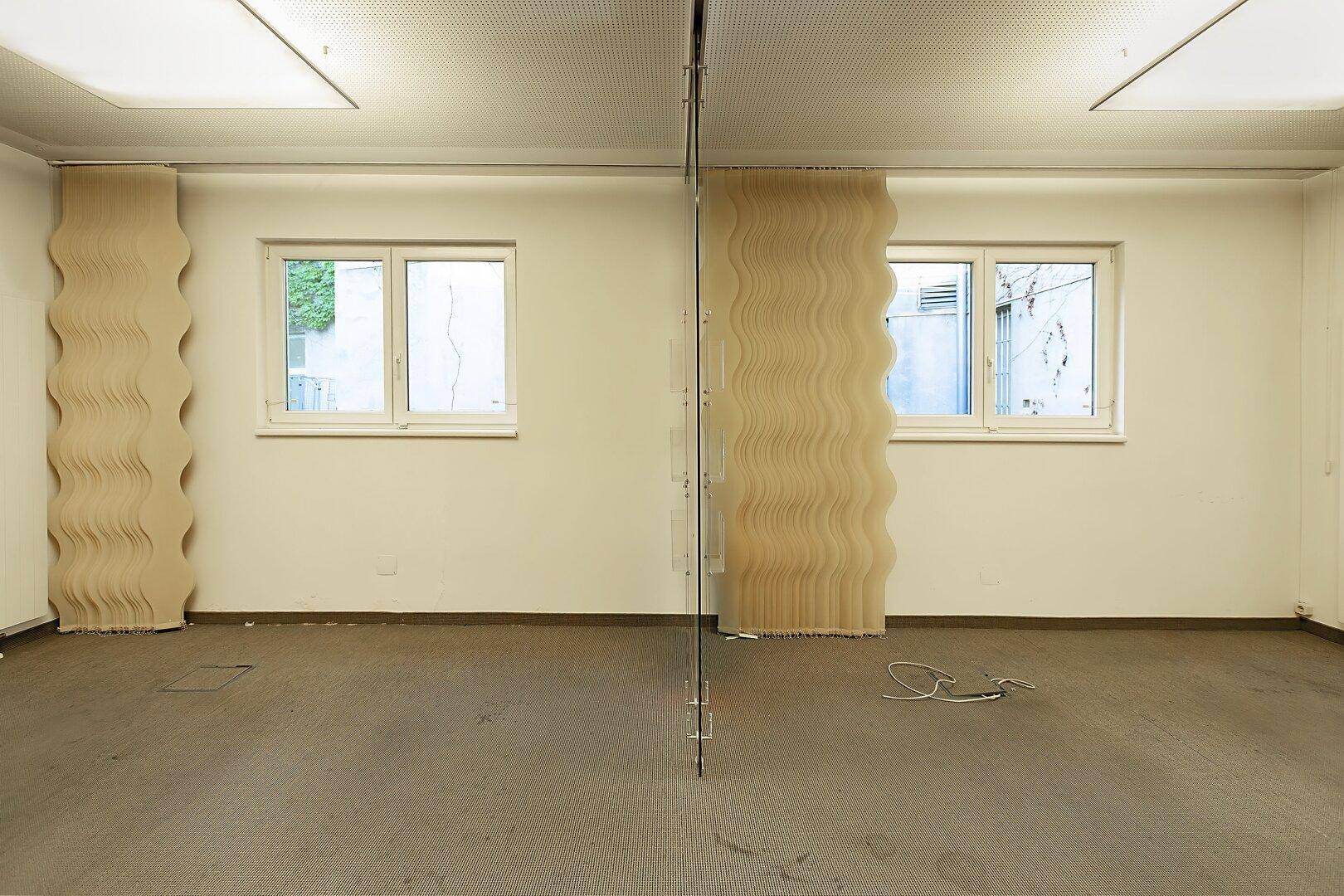 Heller Büroraum mit zwei Fenstern, Teppichboden und einer modernen Glastrennwand.