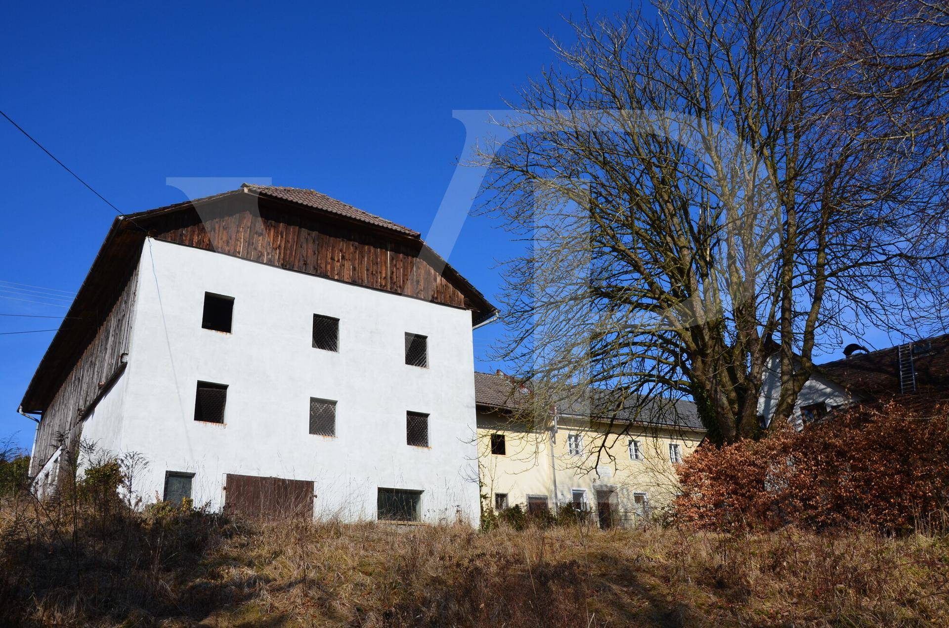 Großes Wirtschaftsgebäude mit weiß getünchten Wänden und Holzelementen neben einem alten Baum.