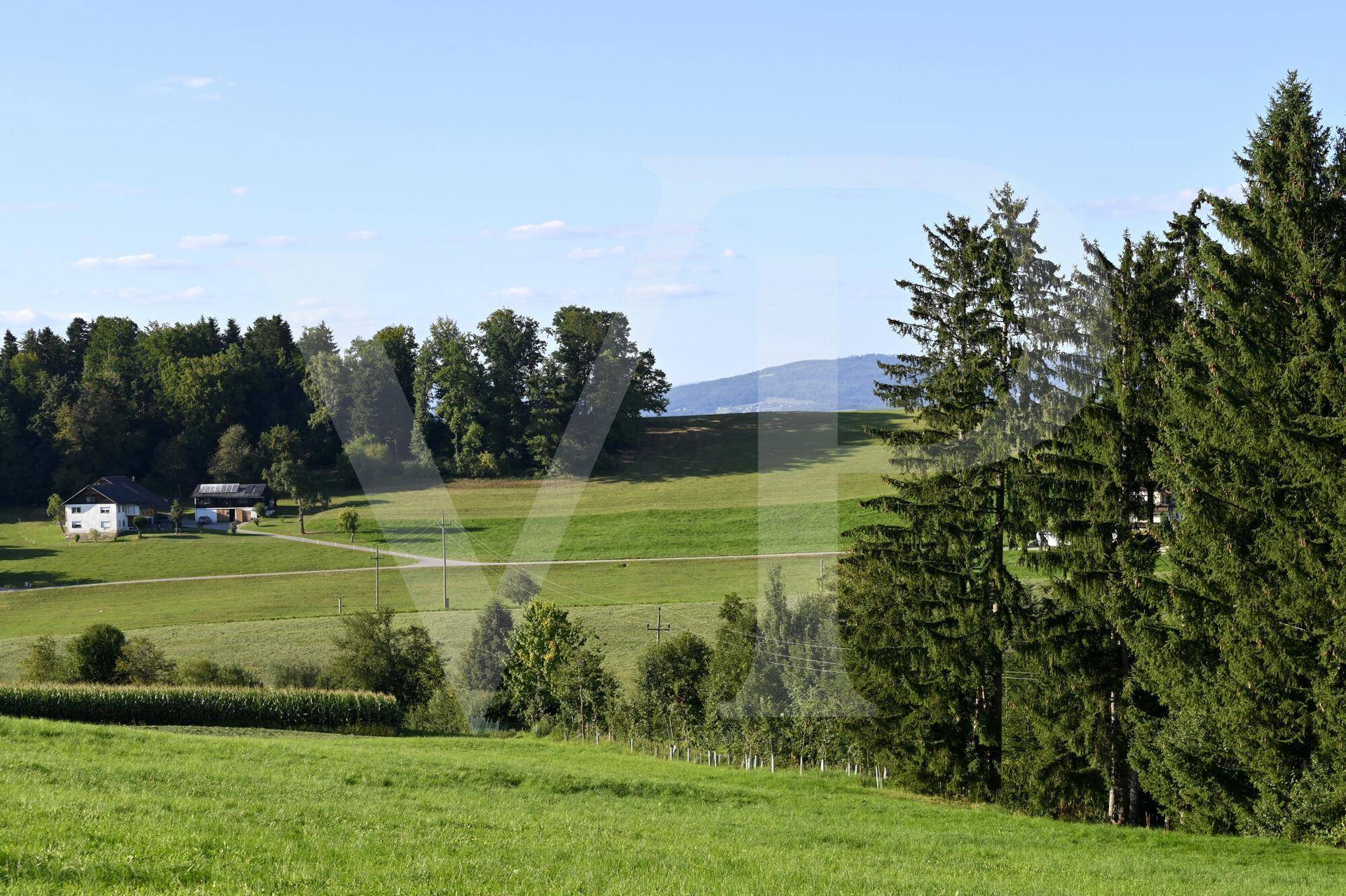 Idyllischer Ausblick auf grüne Wiesen, Wälder und vereinzelte Häuser in der Ferne.