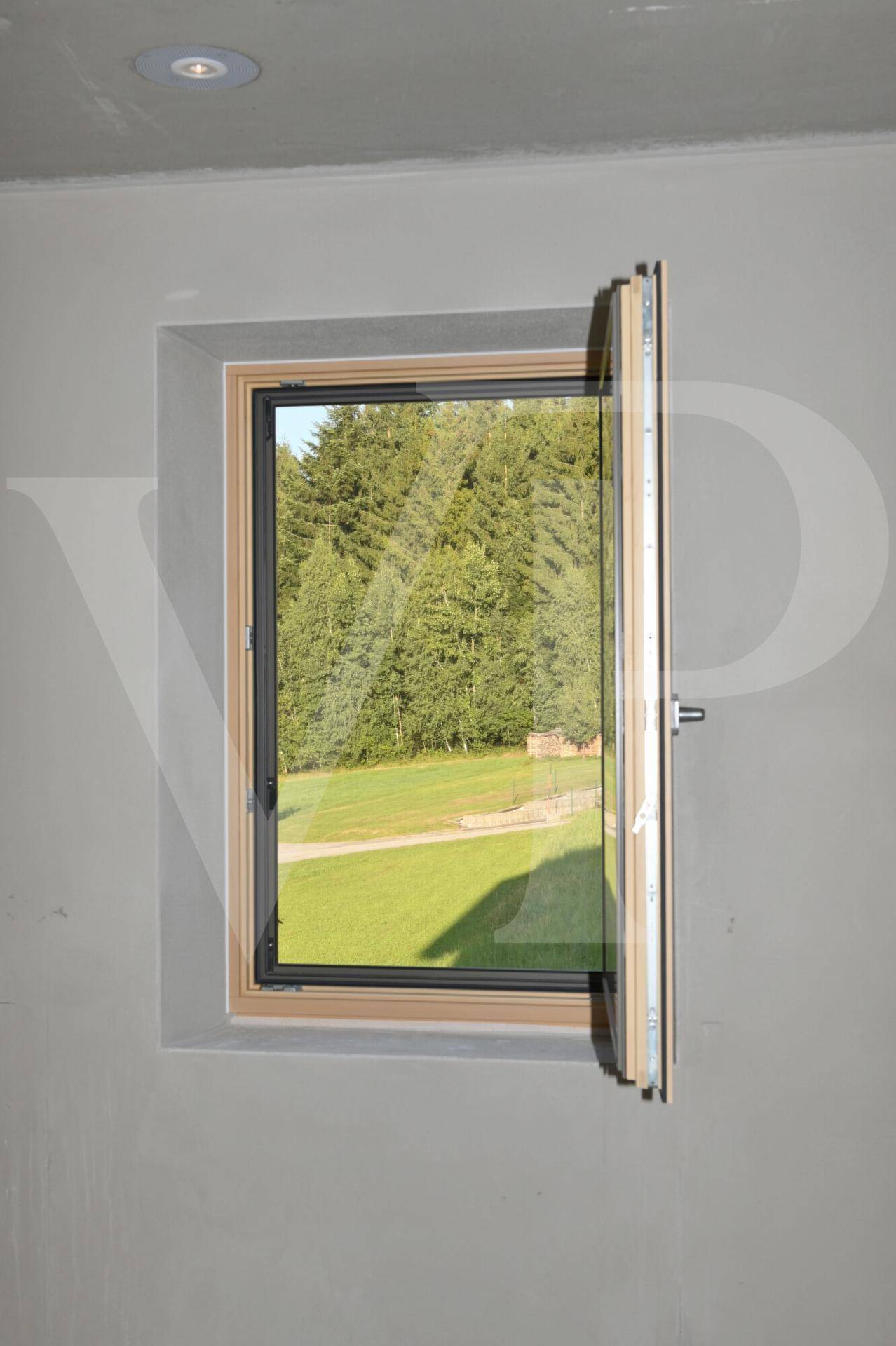 Fenster mit Blick auf die grüne Landschaft und den umliegenden Wald.