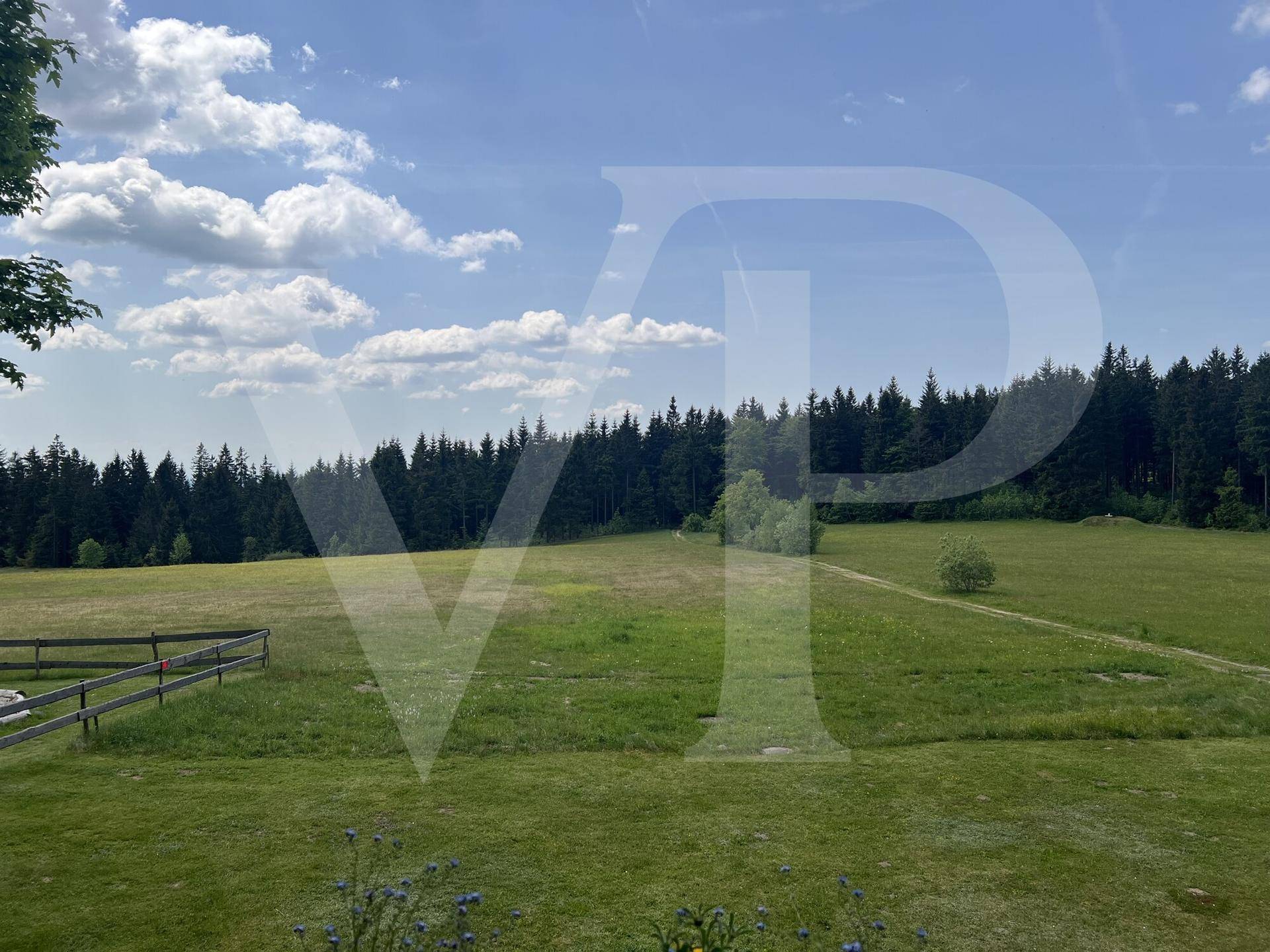 Panoramablick über die idyllische Landschaft mit grünen Wiesen und dichtem Wald.