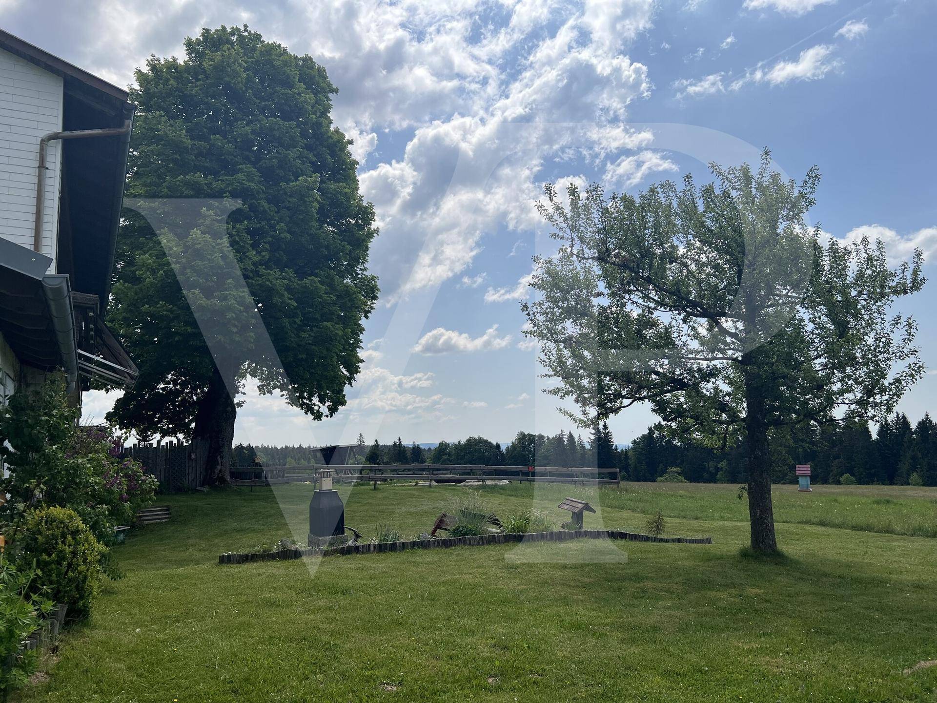 Seitlicher Gartenbereich mit Obstbaum und weitem Blick über die grüne Landschaft.