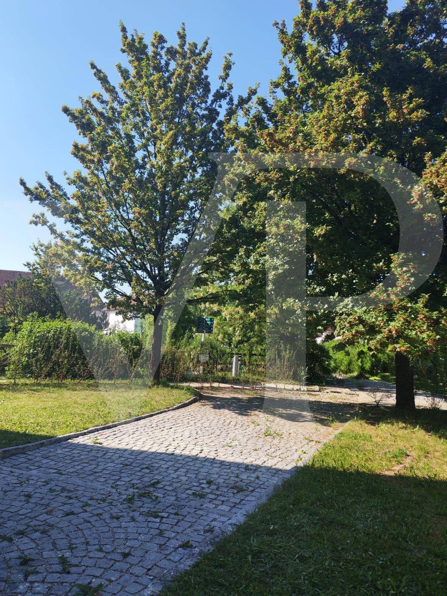 Gepflasterter Weg umgeben von grünem Rasen und hohen Bäumen an einem sonnigen Tag.