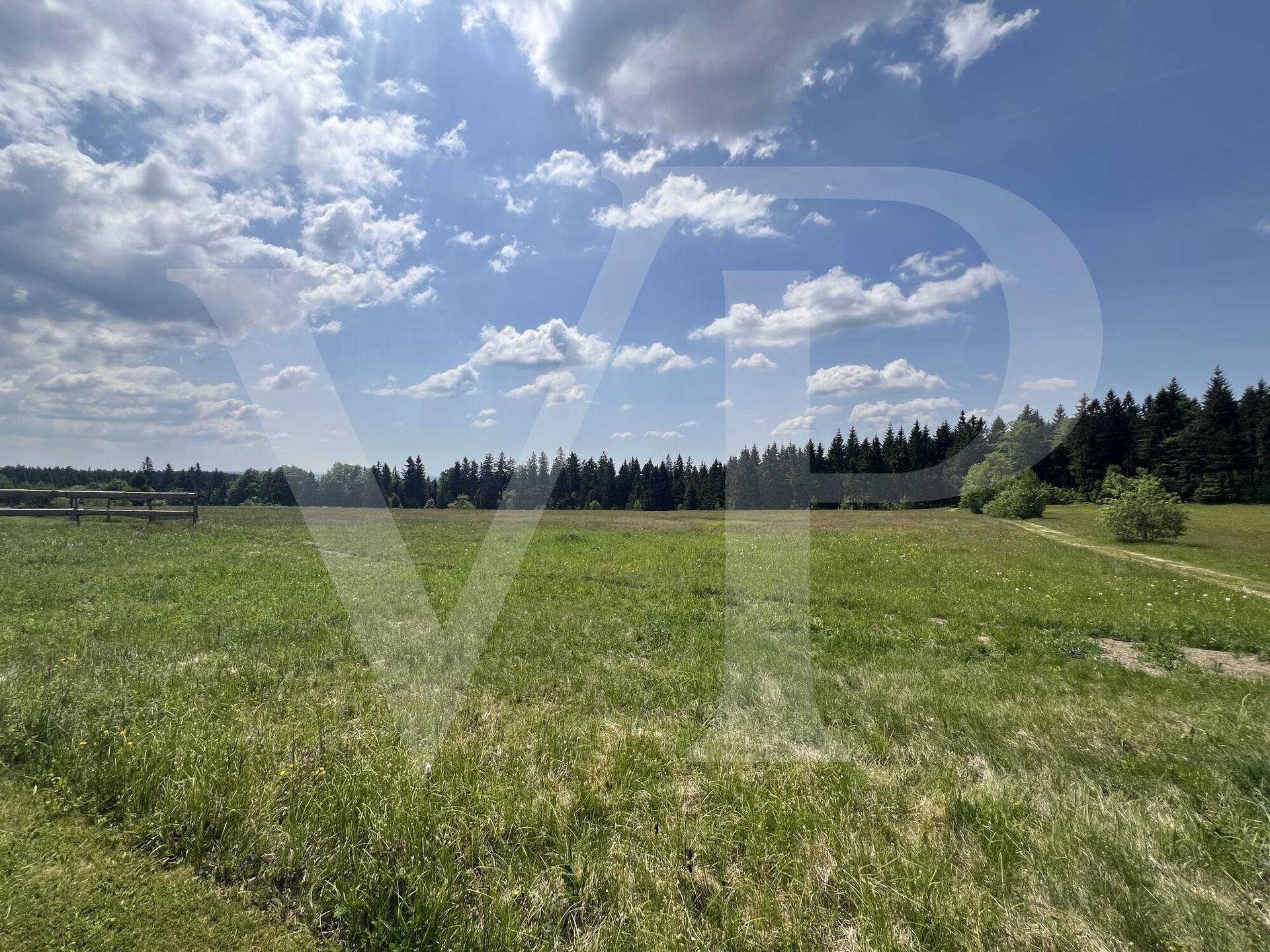 Unverbaubarer Blick über weite Wiesen und Felder bis zum angrenzenden Waldgebiet.