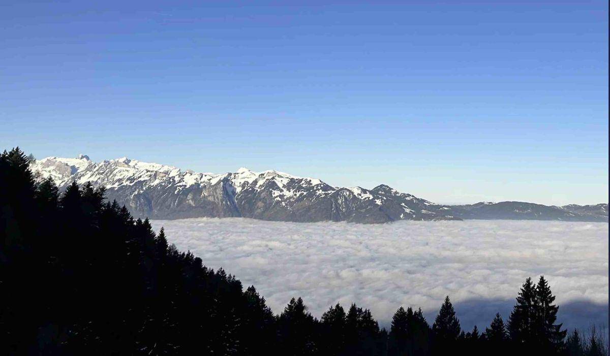 Beeindruckender Panoramablick auf schneebedeckte Berge über einer dichten Wolkendecke und dunklen Wäldern.