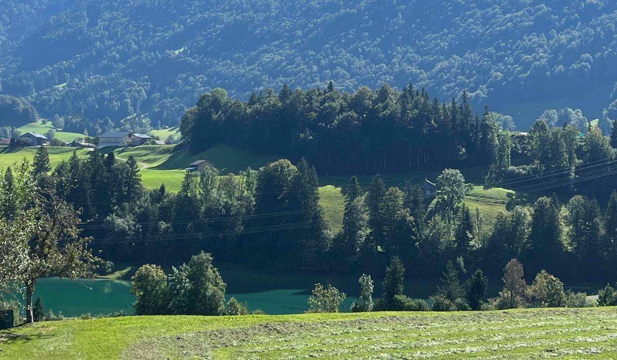 Blick auf den See