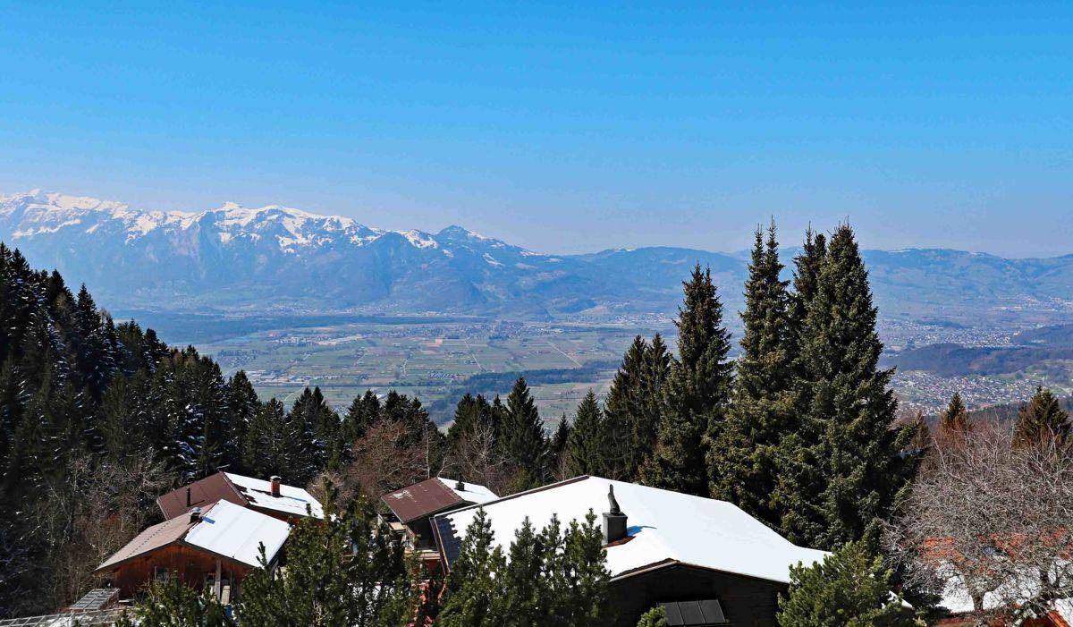 Weitläufiger Blick über ein Tal mit schneebedeckten Bergen im Hintergrund und Nadelbäumen im Vordergrund.