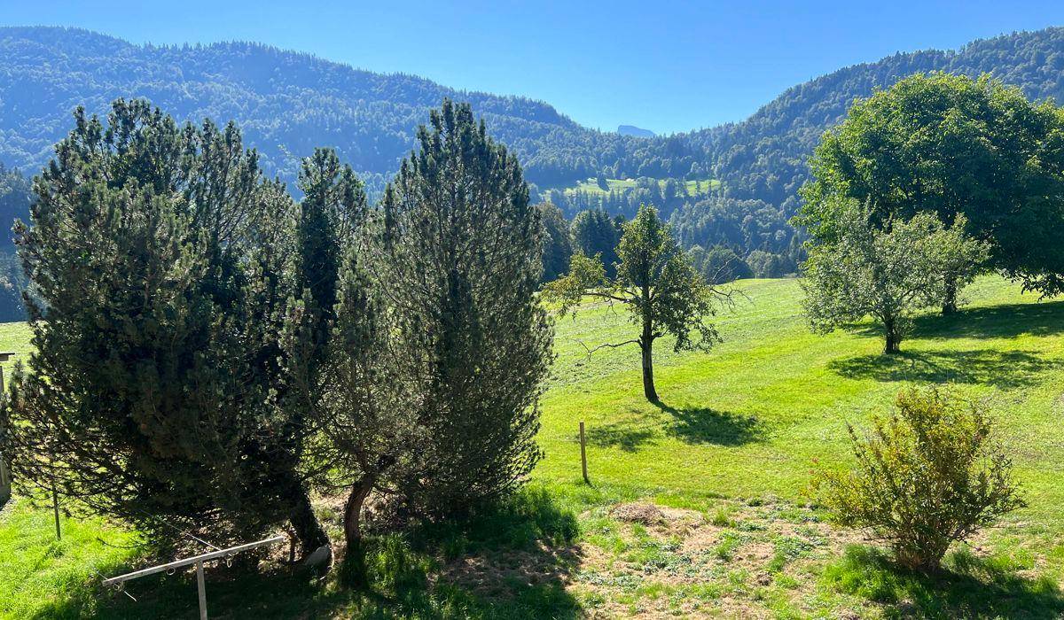 Aussicht Richtung Süden