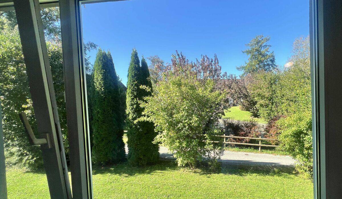 Blick aus dem Fenster auf den gepflegten Garten mit Bäumen und Sträuchern an einem sonnigen Tag.
