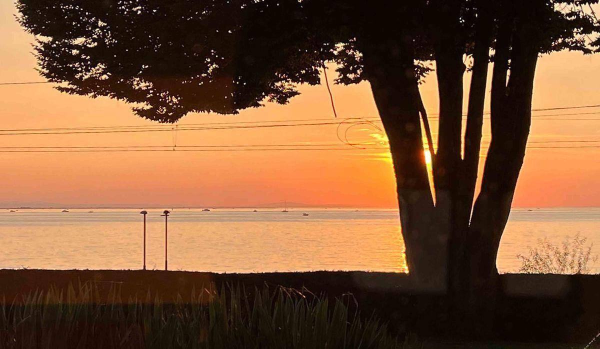 Atemberaubender Sonnenuntergang über dem See, eingerahmt von einem majestätischen Baum.