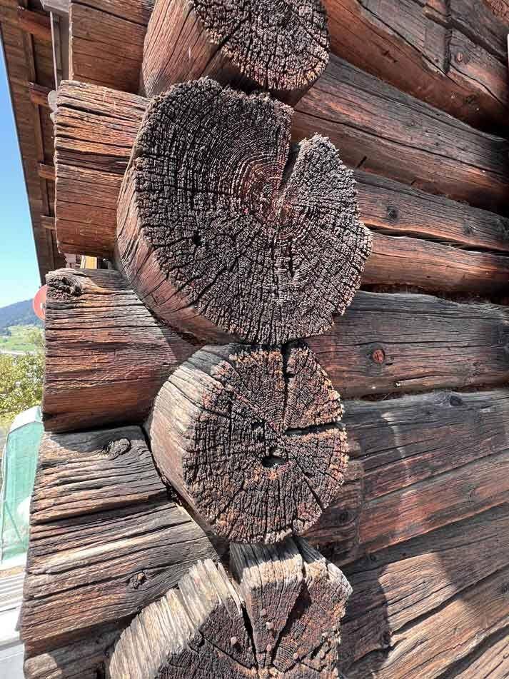 Nahaufnahme der rustikalen Blockbauweise mit sichtbaren Holzstämmen und Maserung.