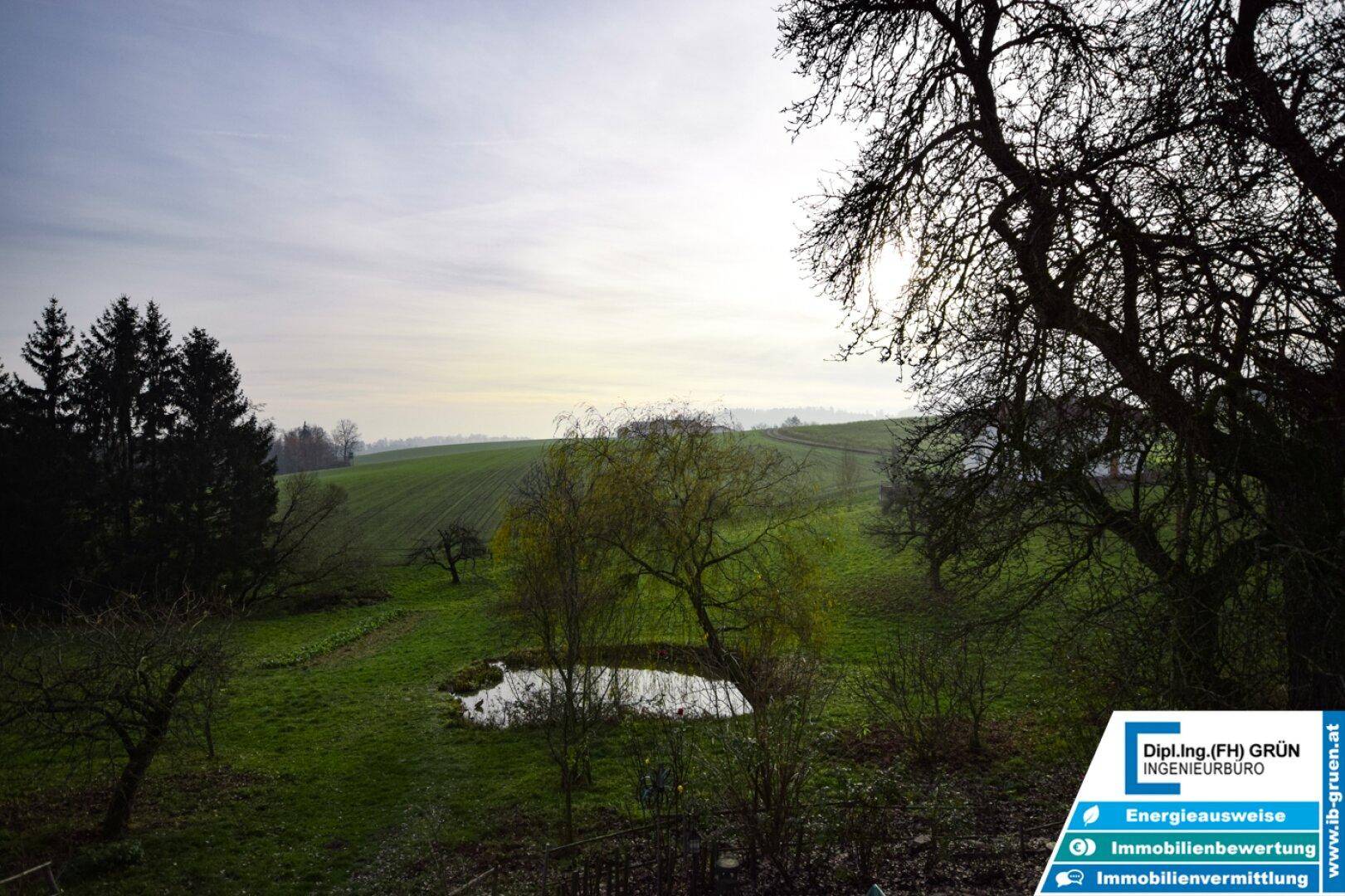 Weitläufige grüne Landschaft mit sanften Hügeln, Bäumen und einem kleinen Teich unter bewölktem Himmel.