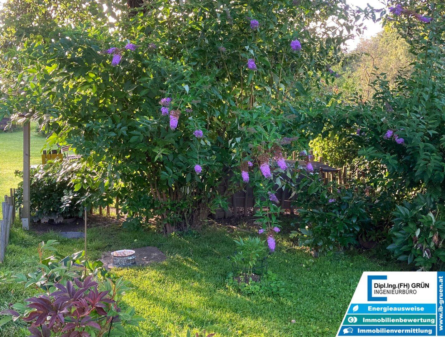 Blühender Gartenbereich mit üppigen Sträuchern und viel Grün, ideal zum Entspannen.