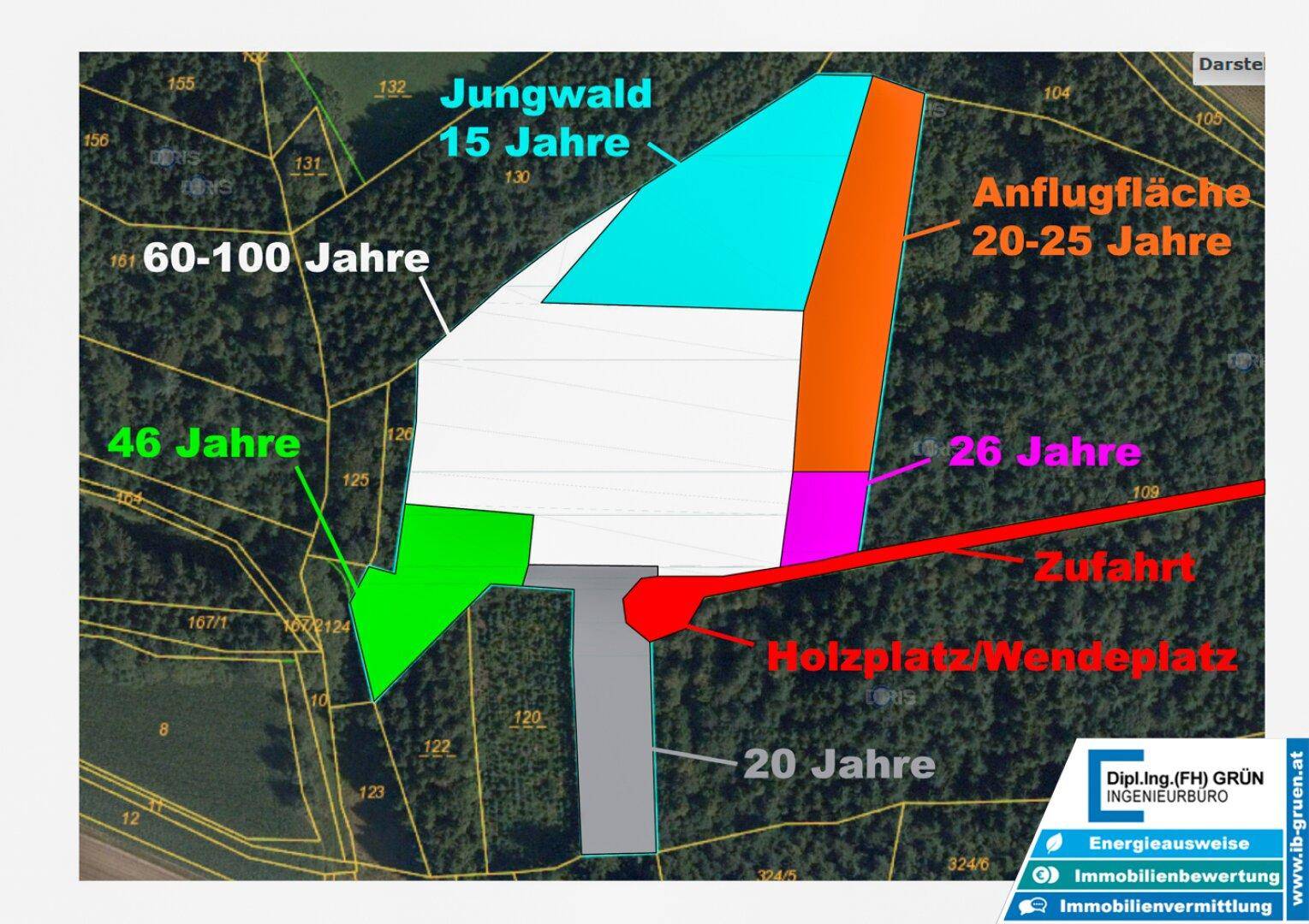 Katasterplan mit farblich markierten Waldflächen unterschiedlichen Alters und Zufahrtswegen.
