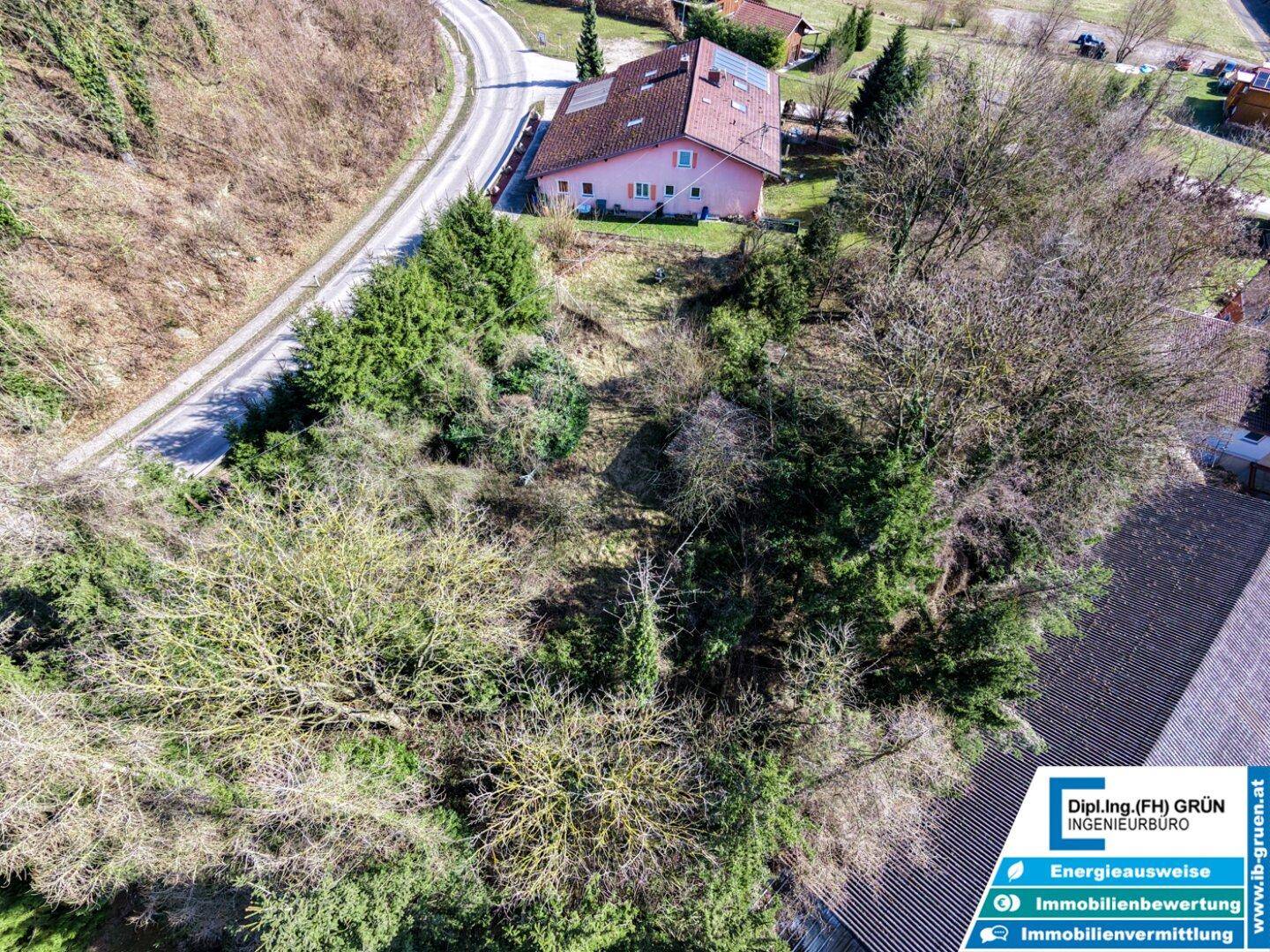 Luftaufnahme eines bewachsenen Grundstücks mit einem Wohnhaus im Hintergrund und einer Zufahrtsstraße.