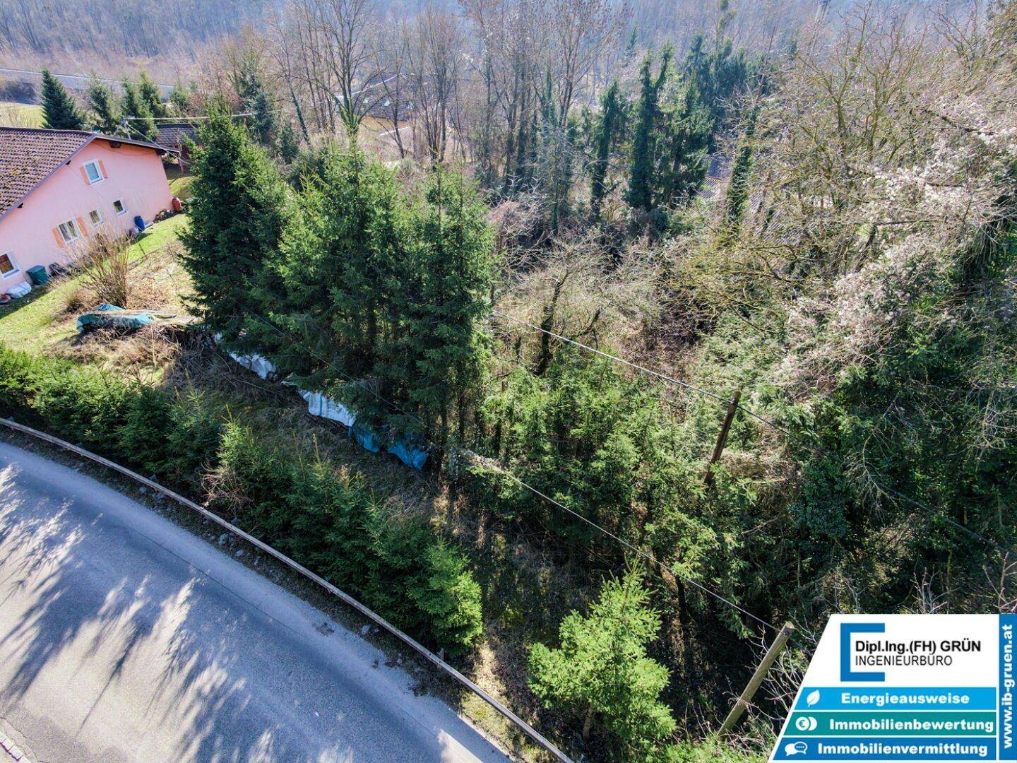 Panoramablick aus der Luft auf ein dicht bewachsenes Grundstück neben einer Straße und einem Wohnhaus.