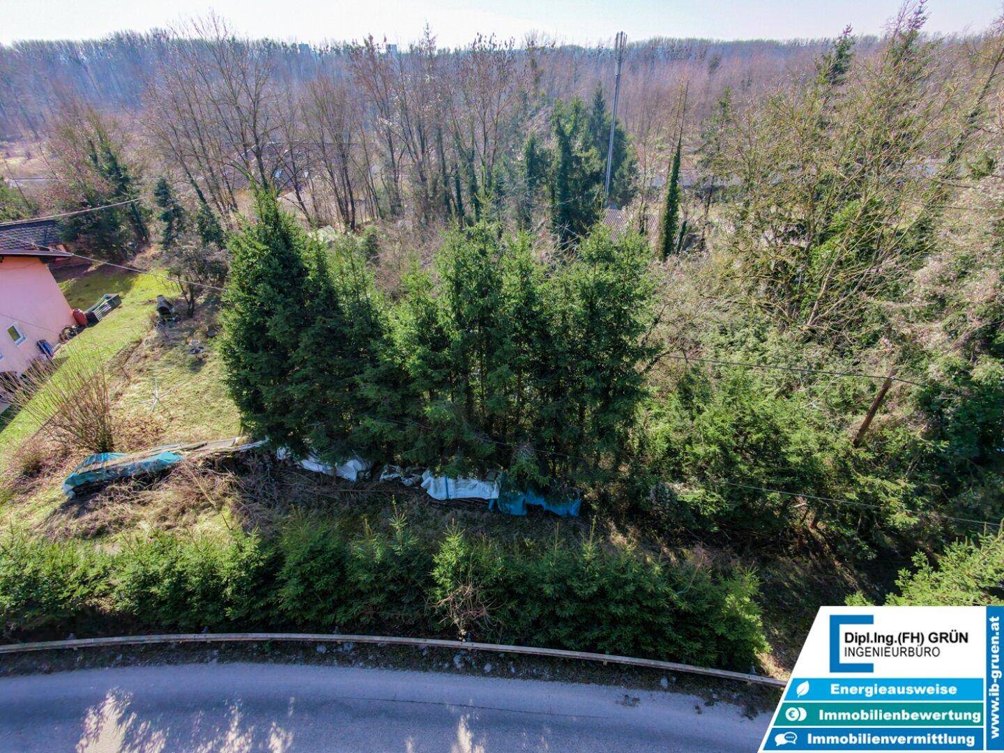 Weitwinkel-Luftaufnahme eines Grundstücks mit üppiger Baum- und Strauchvegetation.