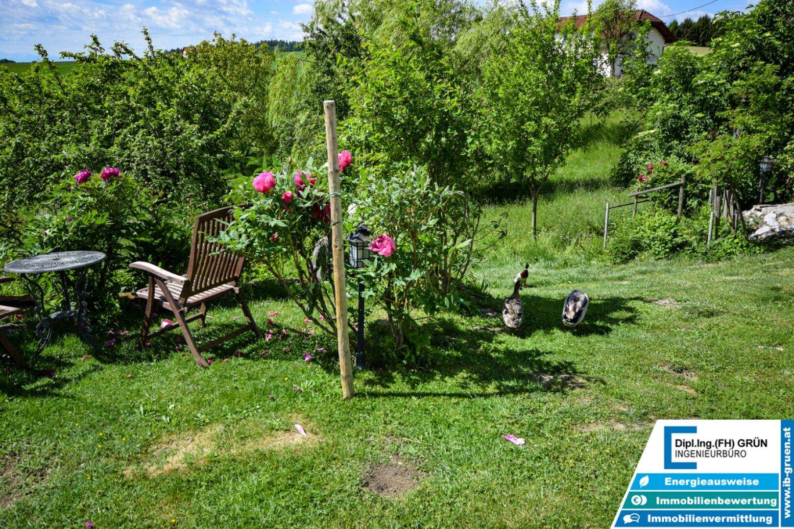 Idyllischer Gartenbereich mit blühenden Pflanzen, Sitzgelegenheiten und Enten auf der Wiese.