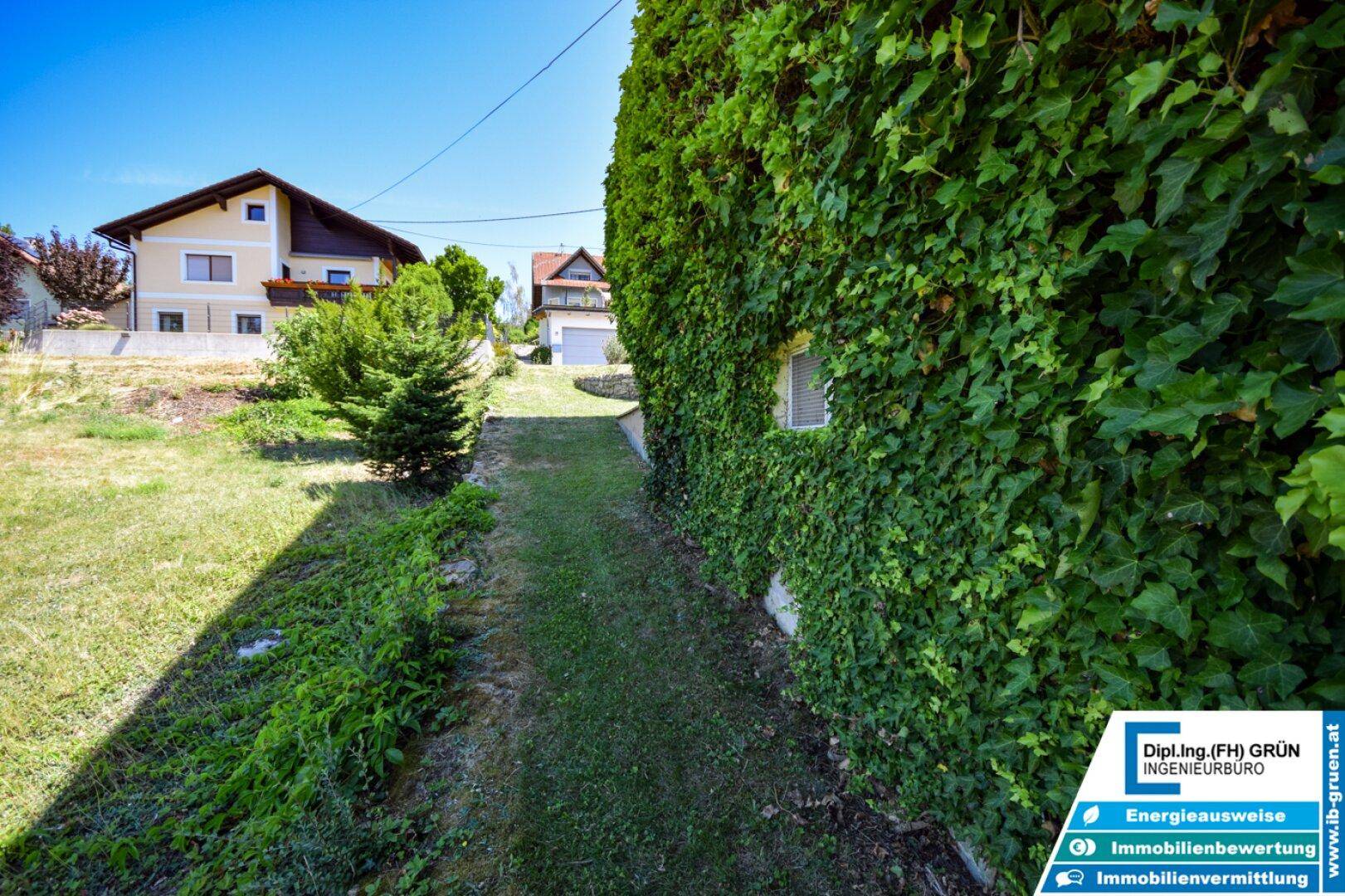 Grüner Weg entlang der Hauswand mit dichtem Efeu und weiteren Häusern im Hintergrund.