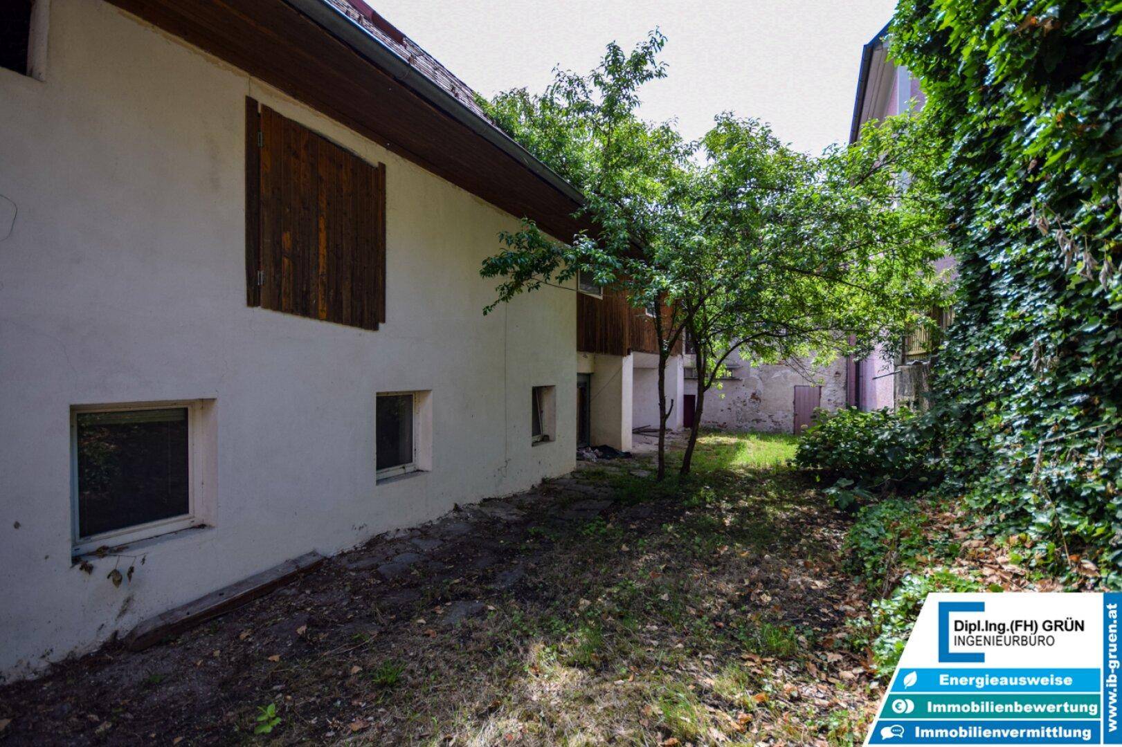 Rückseite des Gebäudes mit einem ungepflegten Garten, Bäumen und einer mit Efeu bewachsenen Mauer.