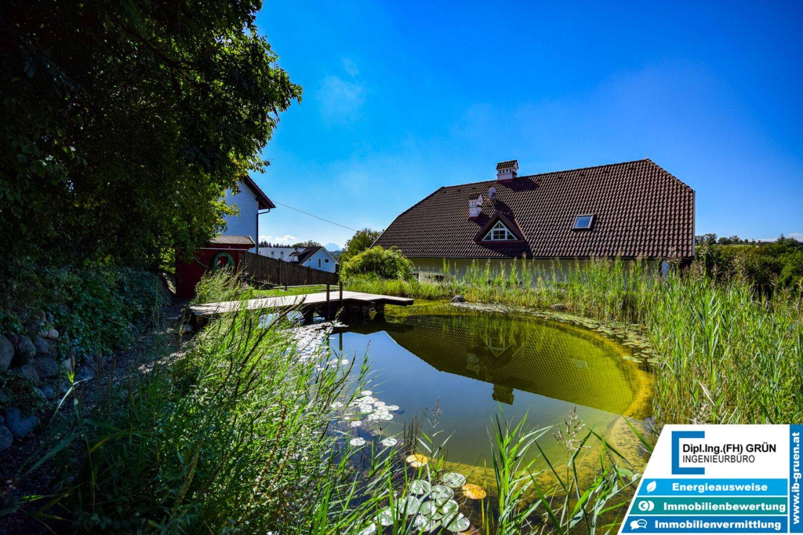 Idyllischer Teich im Garten mit üppiger Vegetation und Haus im Hintergrund an einem sonnigen Tag.