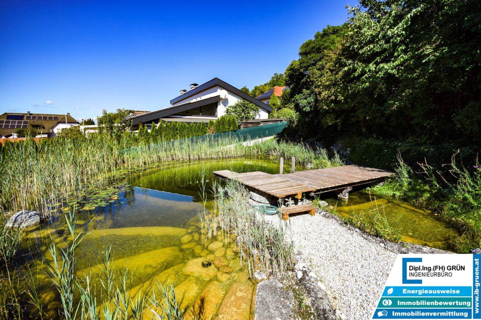 Natürlicher Gartenteich mit Holzsteg und Schilfbepflanzung, umgeben von Grün.