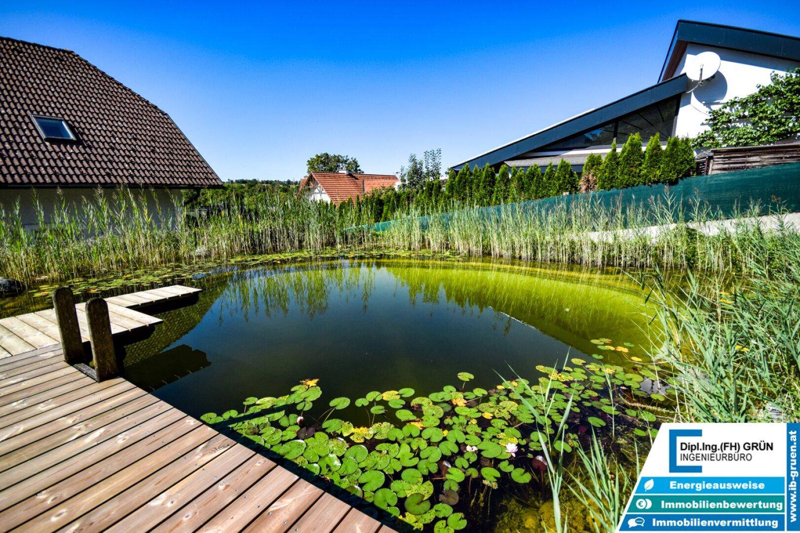 Malerischer Gartenteich mit Seerosen, Schilf und einem kleinen Holzsteg.