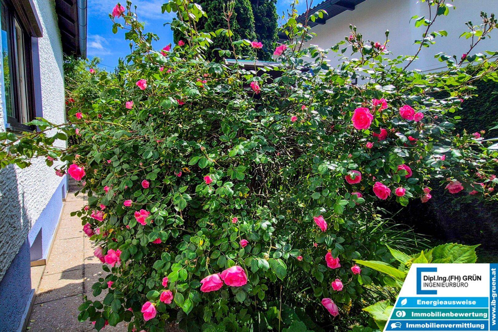 Slide 9