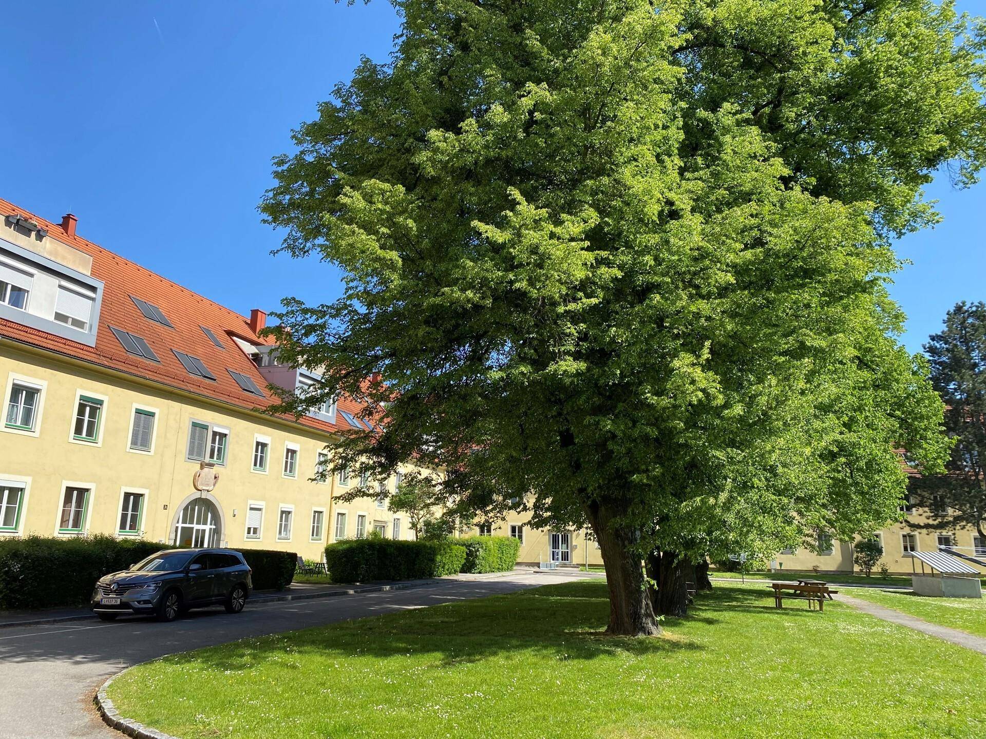 Ansicht eines gelben Gebäudes mit roten Dächern, umgeben von großen Bäumen und einer gepflegten Grünfläche.