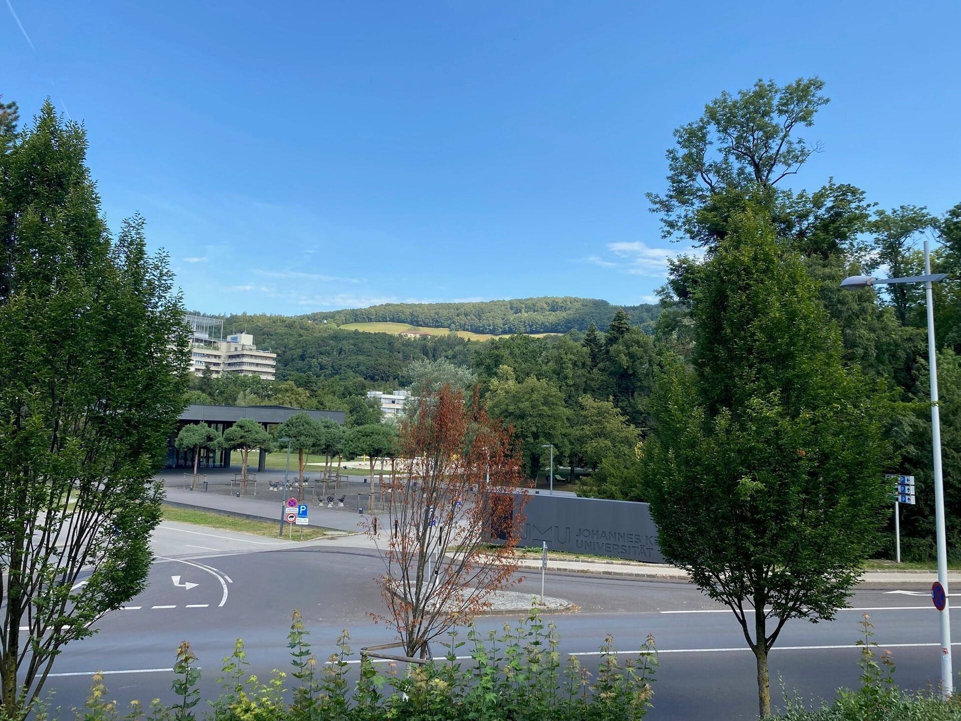 Weitläufiger Ausblick auf eine Straße, grüne Bäume und bewaldete Hügel unter blauem Himmel.